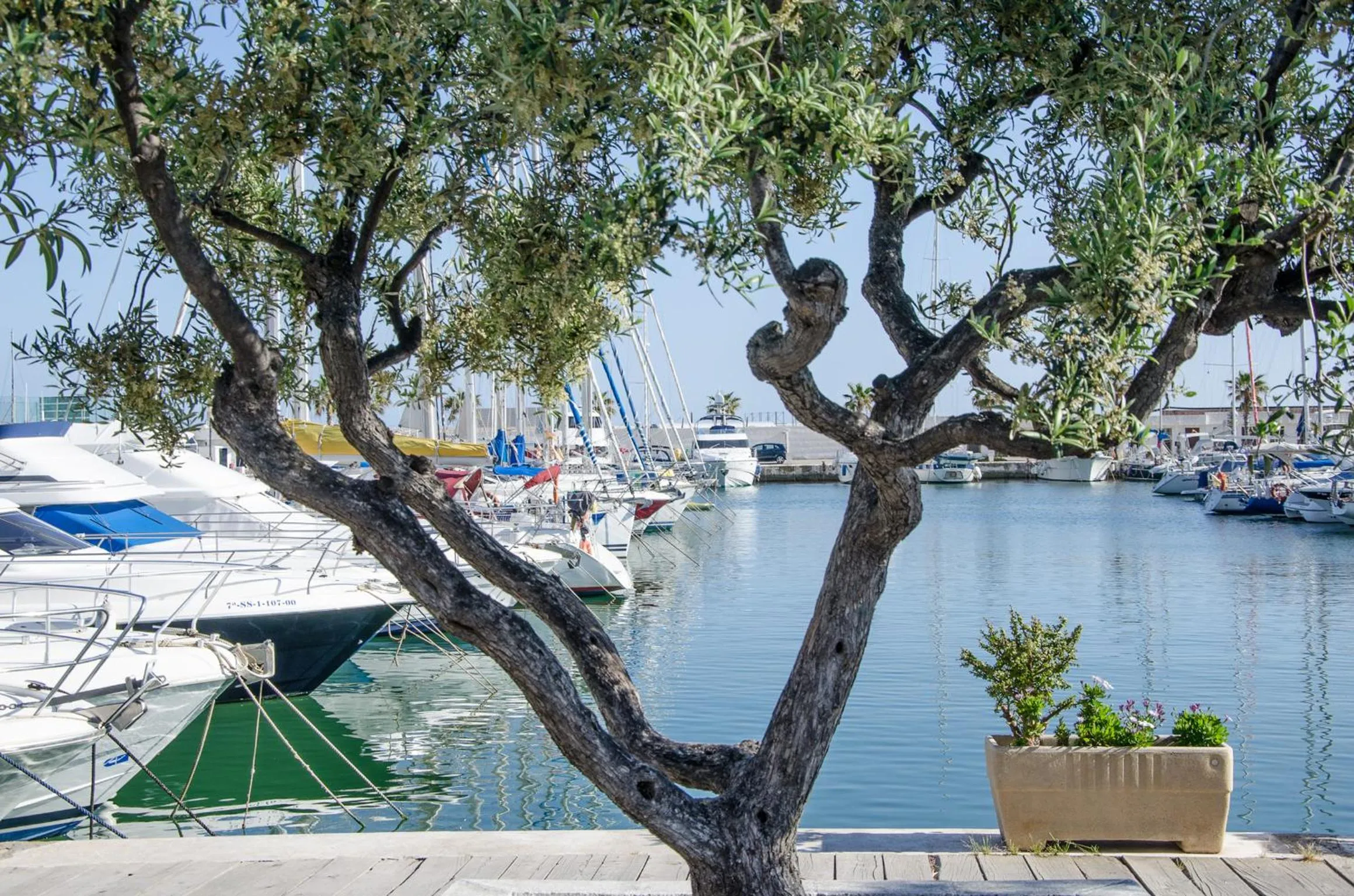 Area and facilities in Apartment Oscar