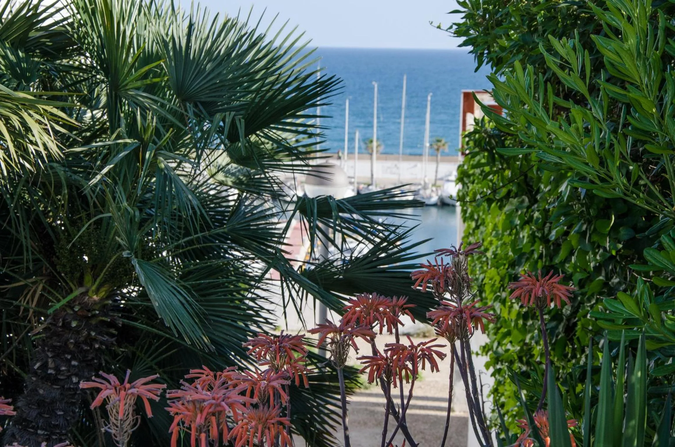 Natural landscape in Apartment Oscar