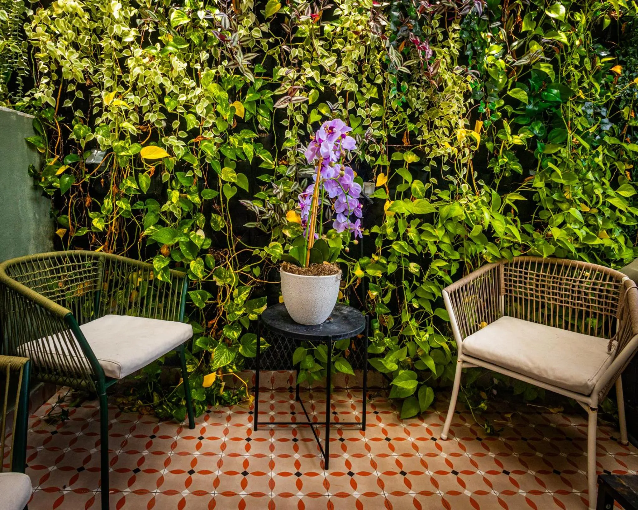 Patio Elba Boutique Hotel