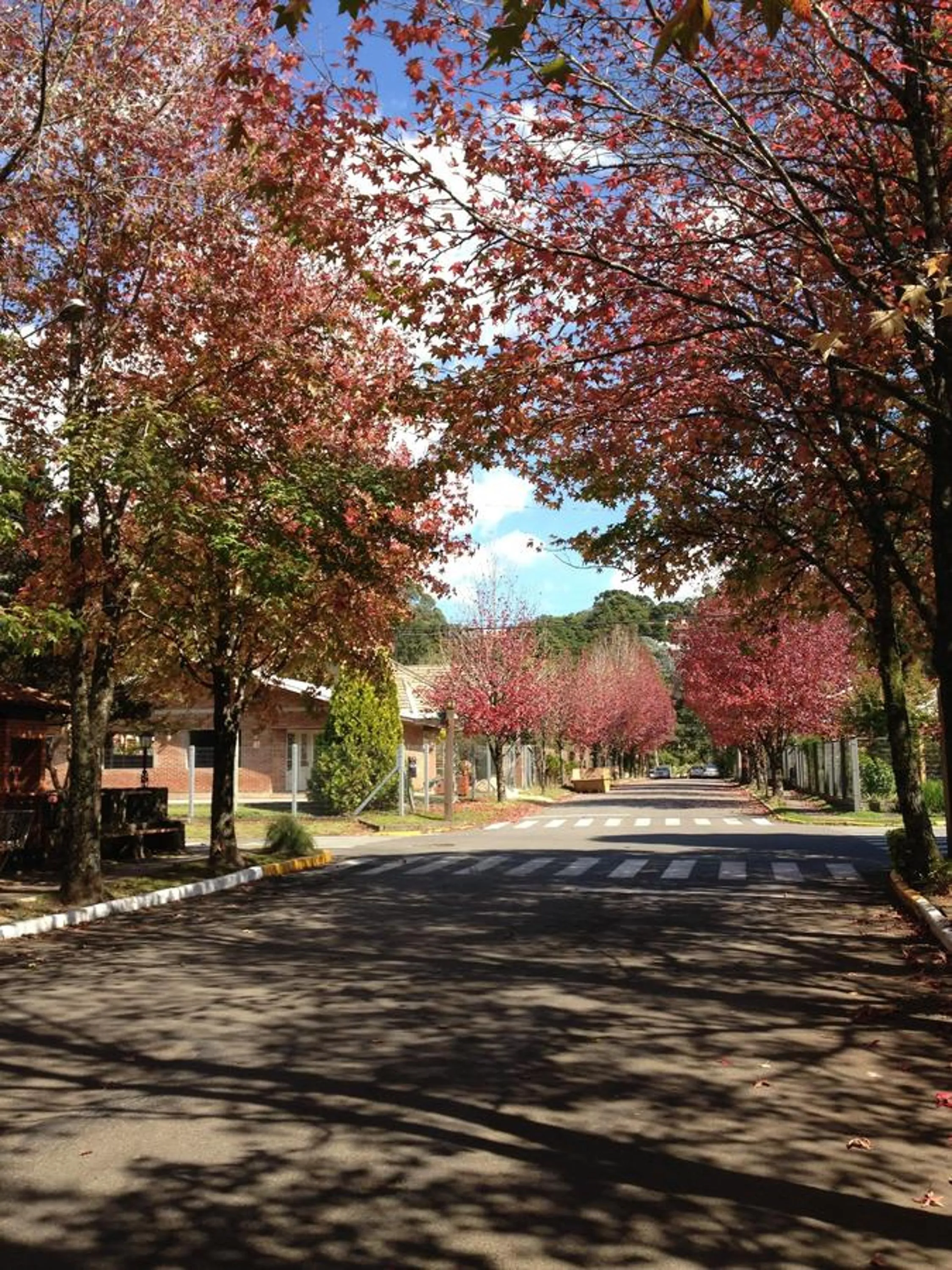 Street view in Pousada Caminho dos Plátanos