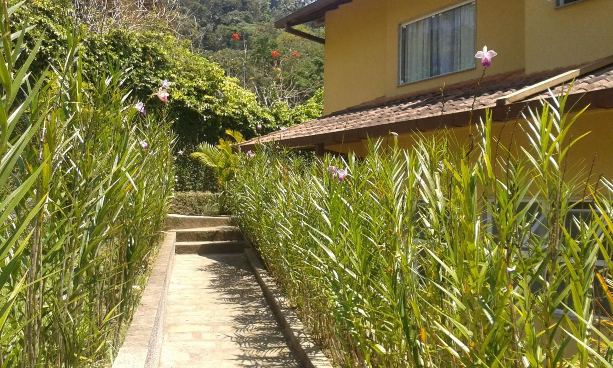 Facade/entrance in Pousada Matitaterê