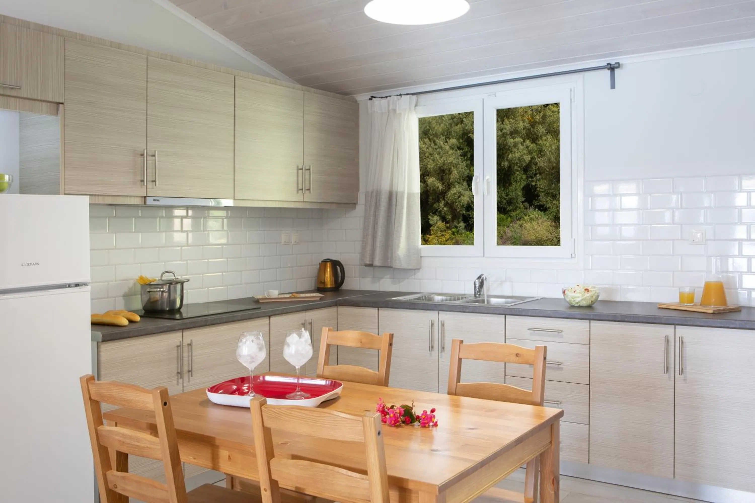 Kitchen or kitchenette in Captain Nick Aparthotel