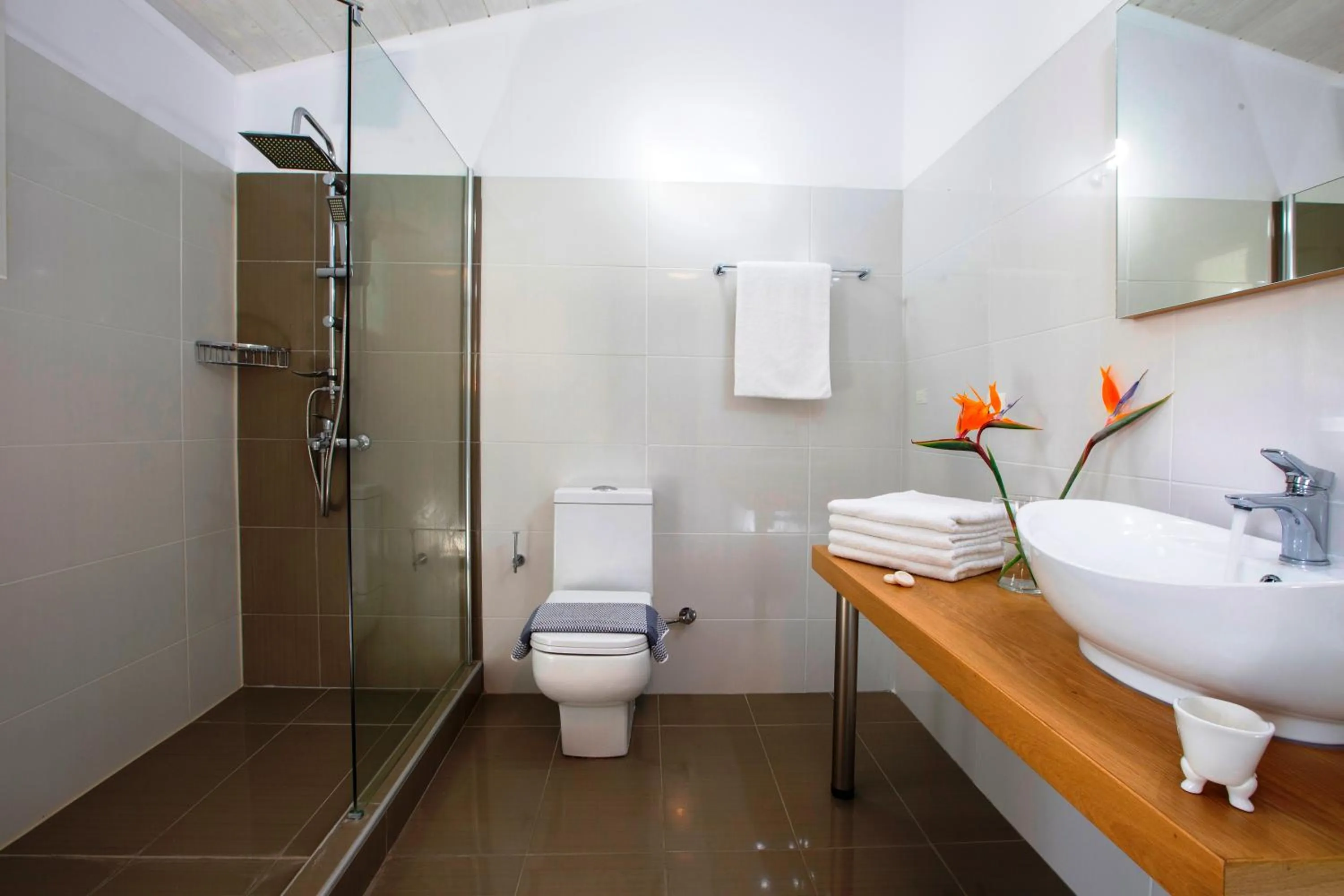 Shower in Captain Nick Aparthotel