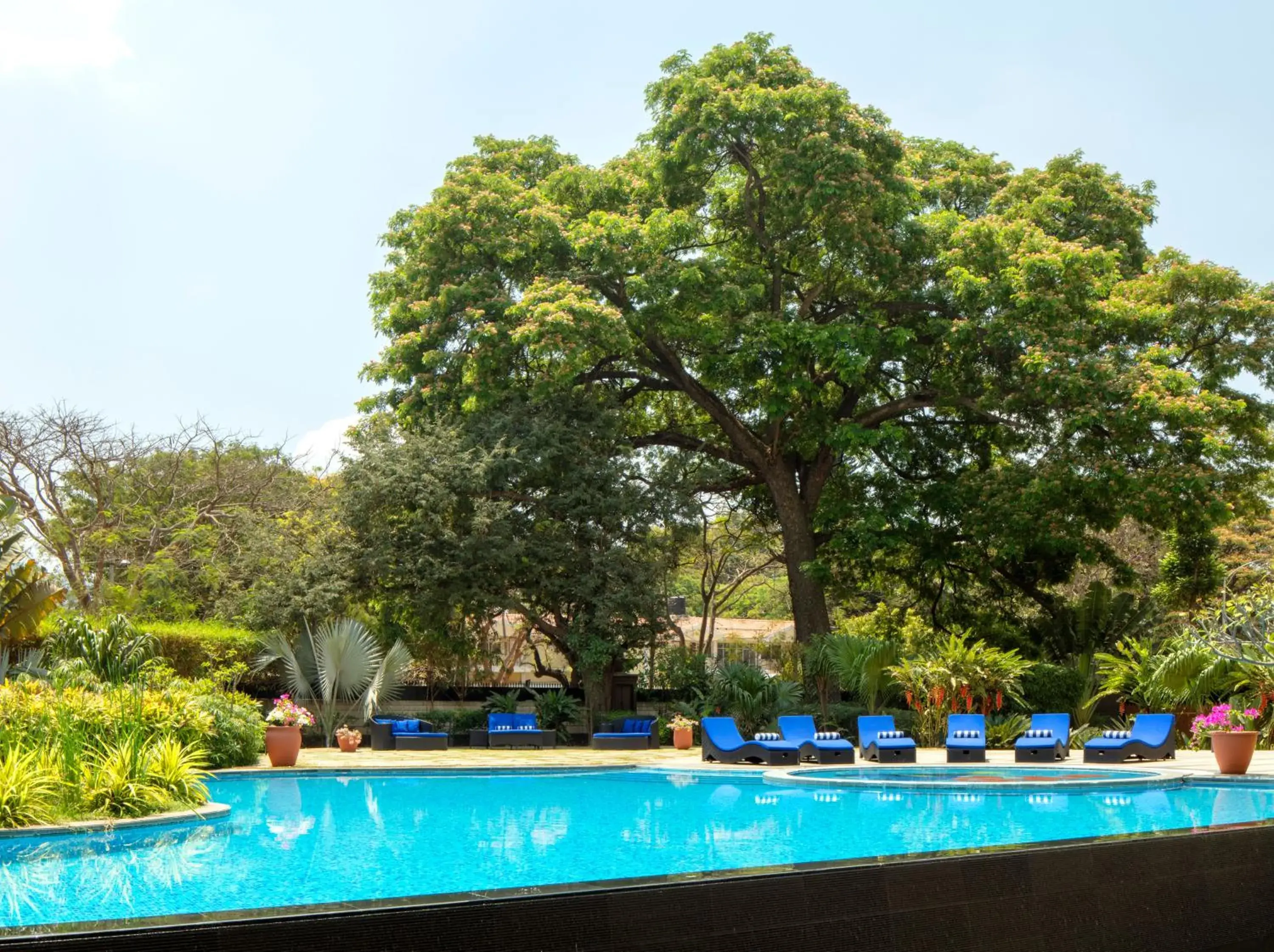 Swimming pool in Radisson Blu Plaza Hotel Mysore Swimming pool in Radisson Blu Plaza Hotel Mysore