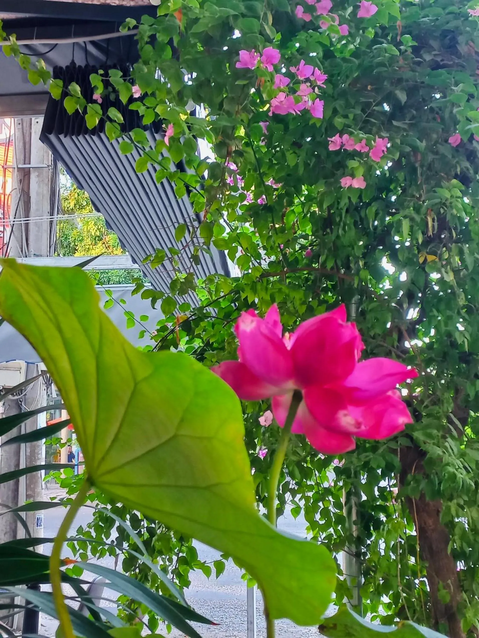View (from property/room) in Sunny 1 Hometel Vinh Long