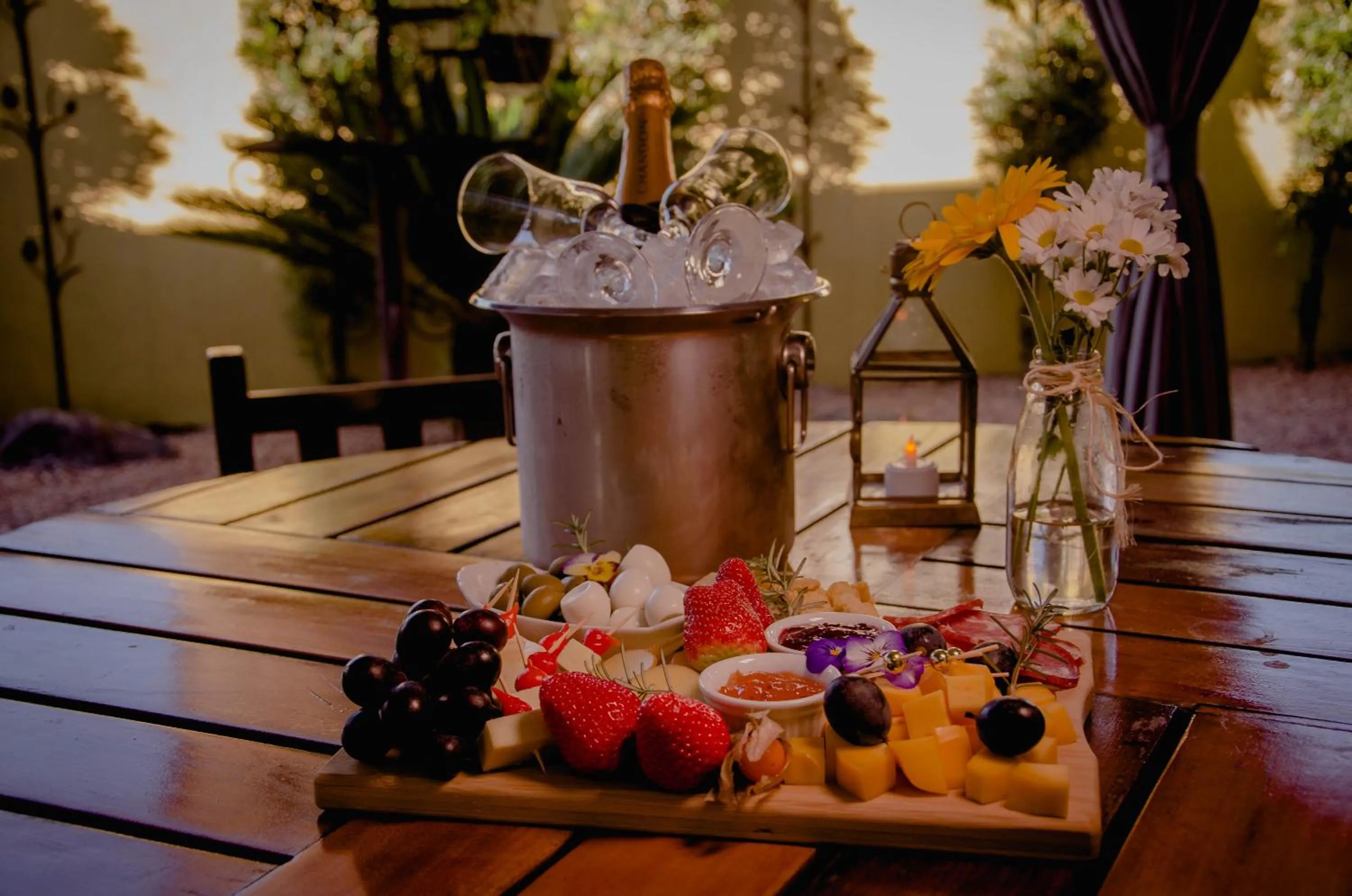 Garden in Hotel Vivenda dos Sonhos