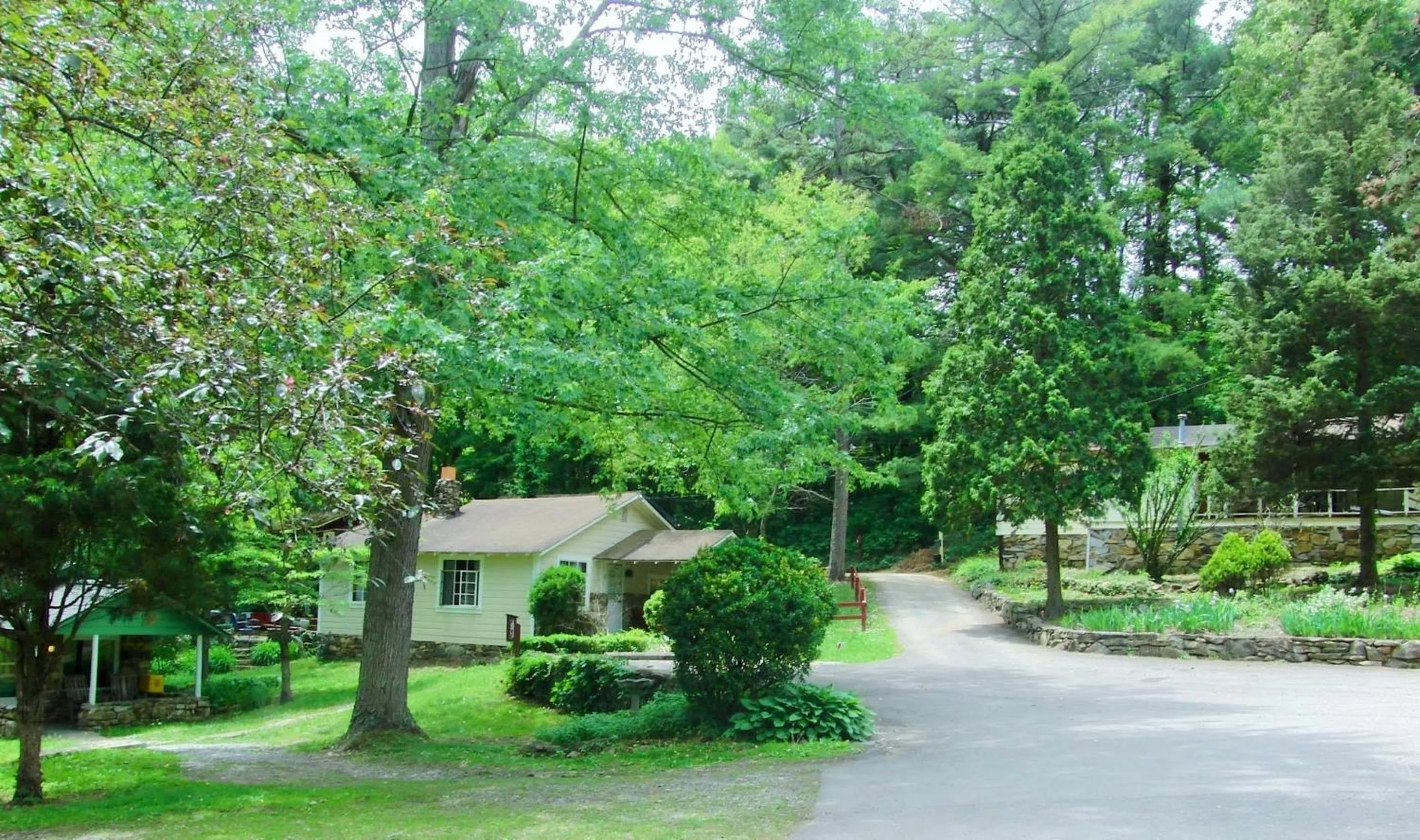 Spring in The Pines Cottages