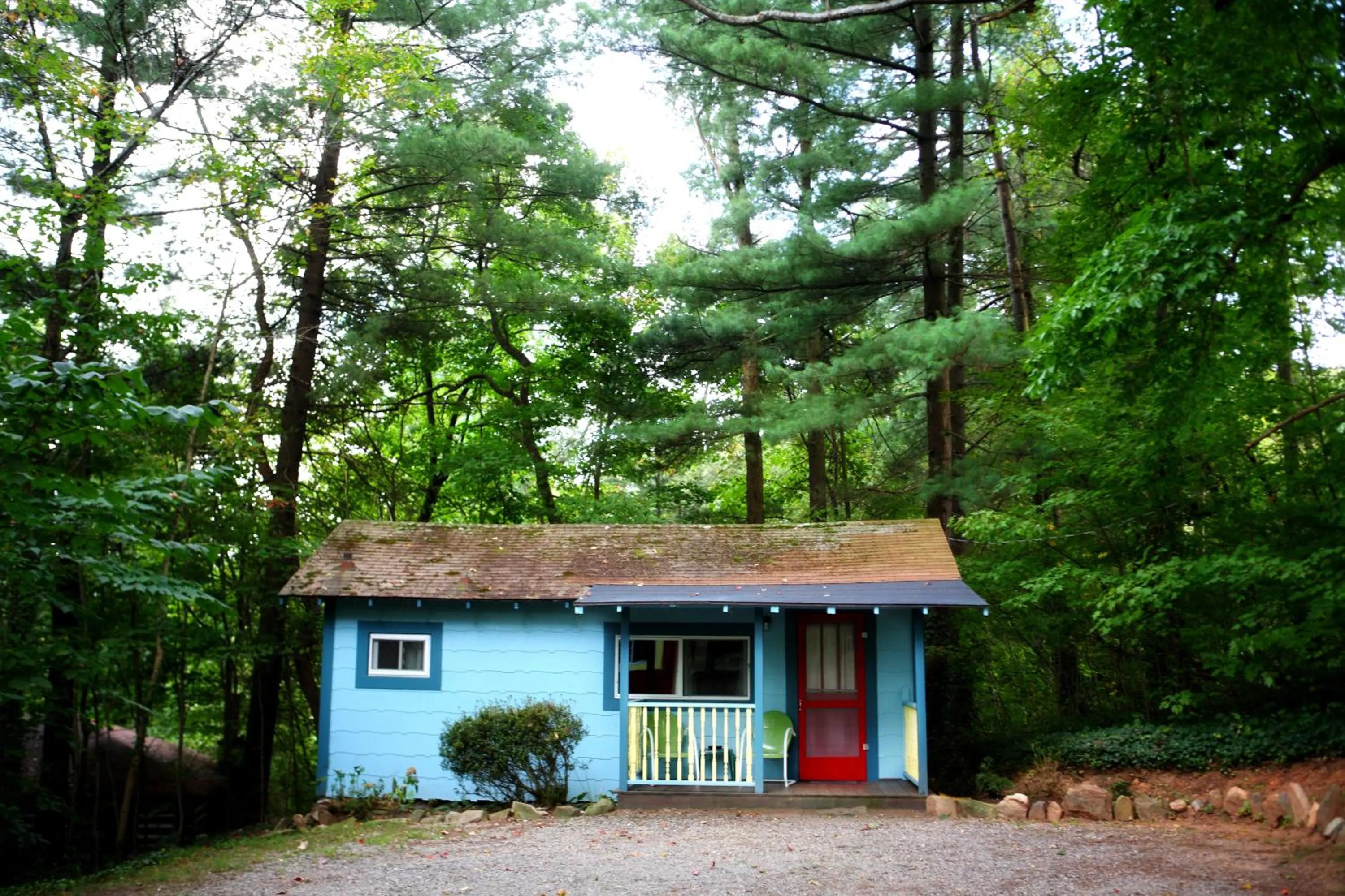 Natural landscape in The Pines Cottages