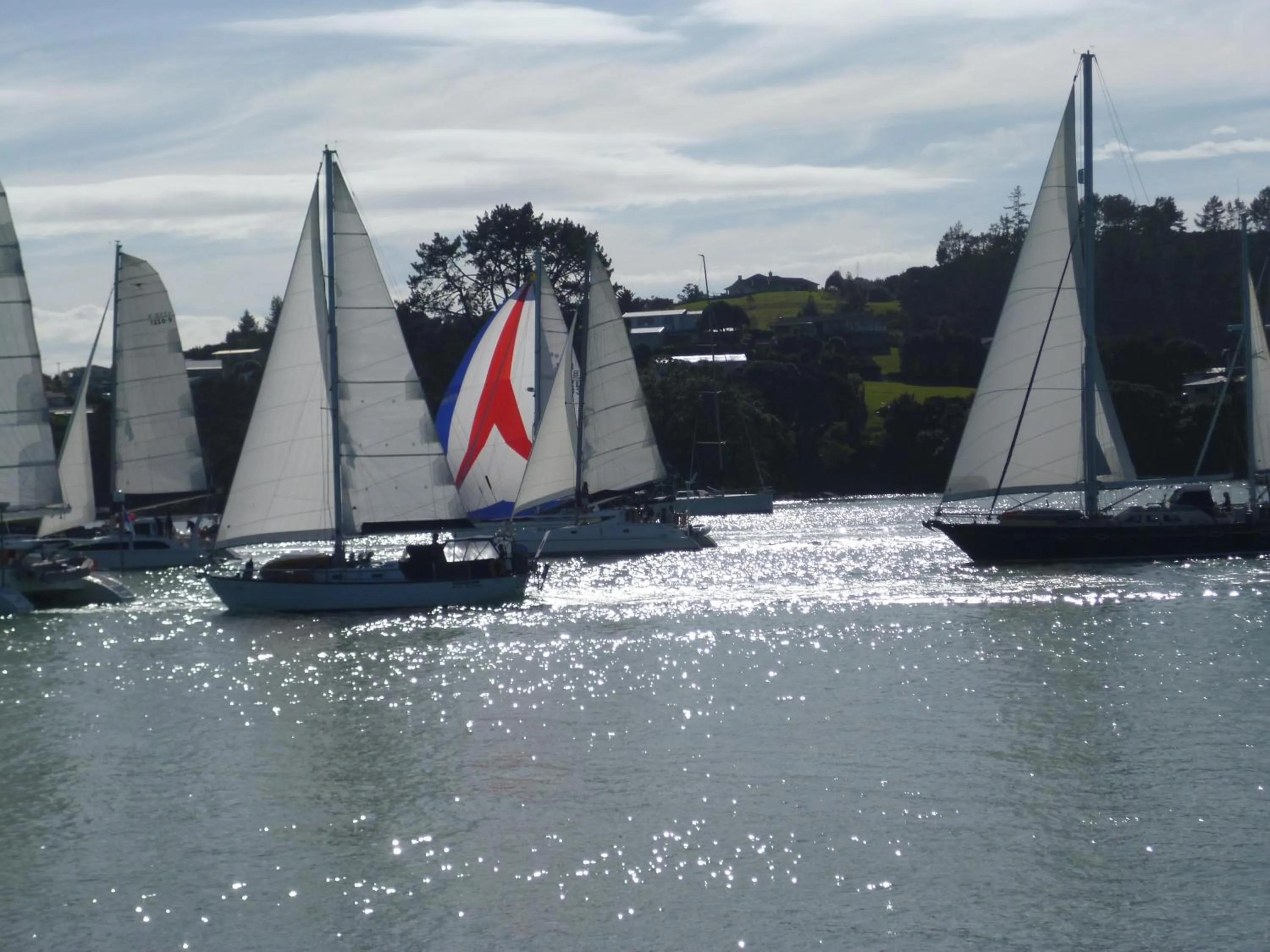 Activities in Opua Boutique Seaview Motel