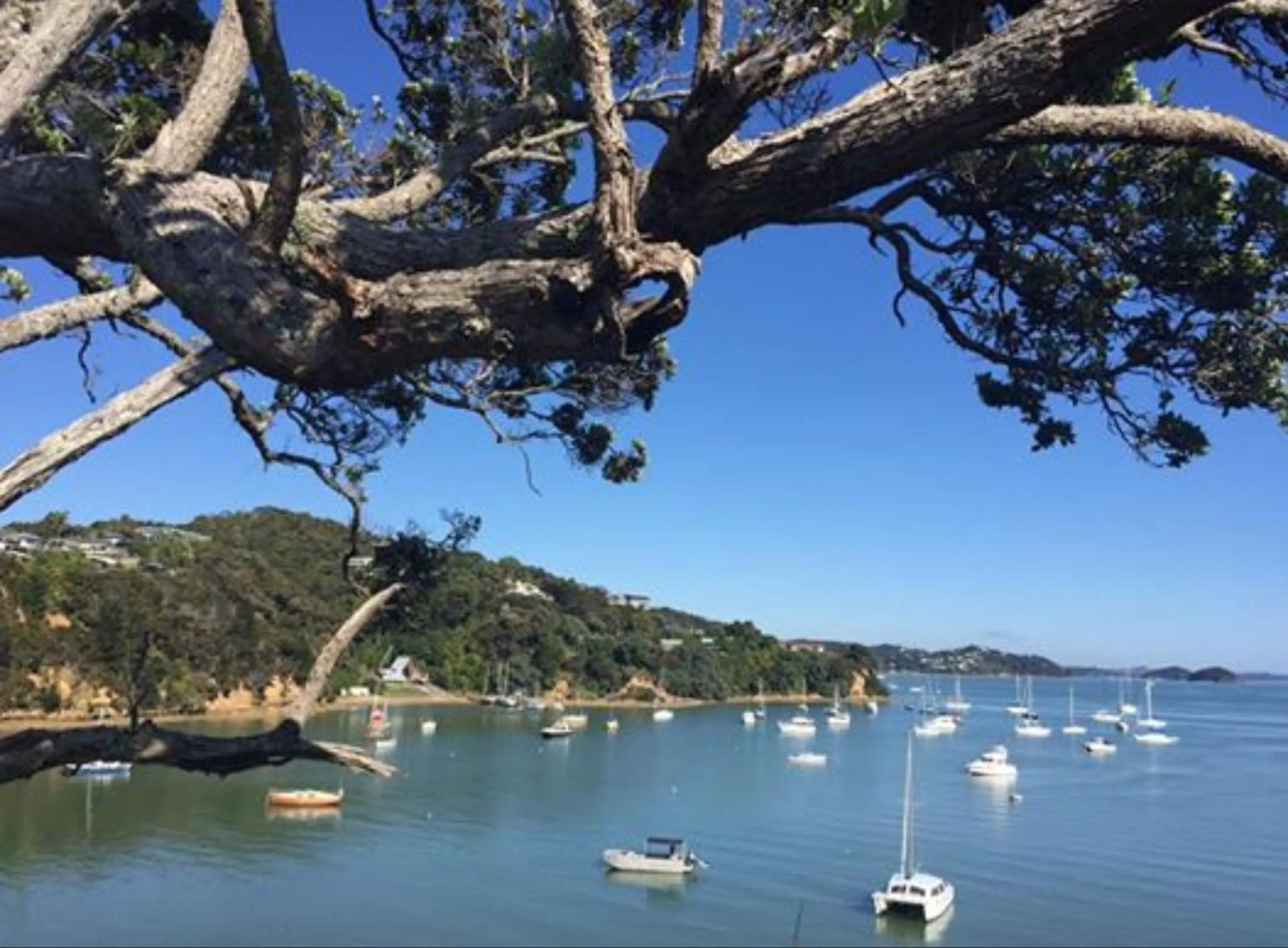 Natural landscape in Opua Boutique Seaview Motel
