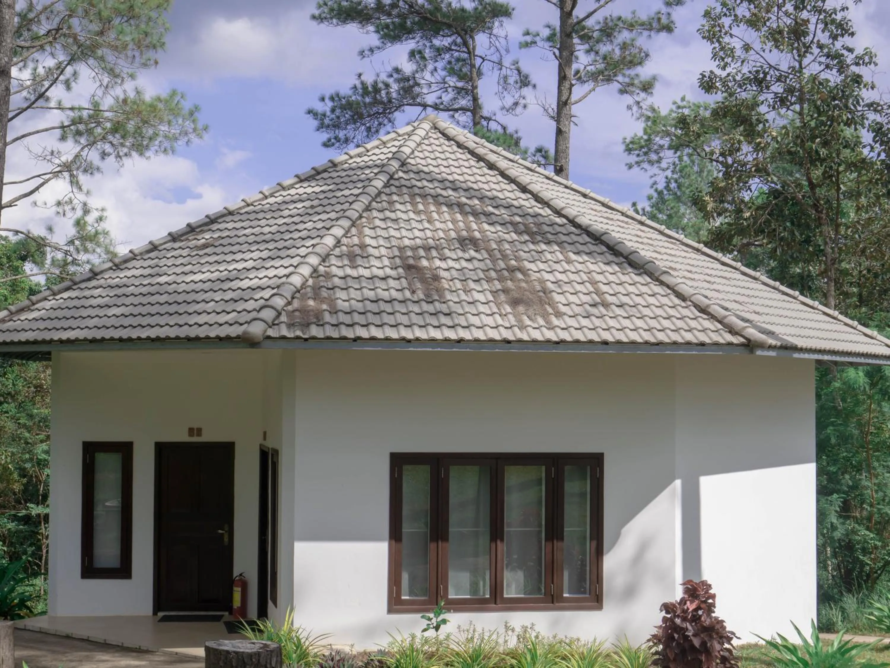 Property building in vKirirom Pine Resort