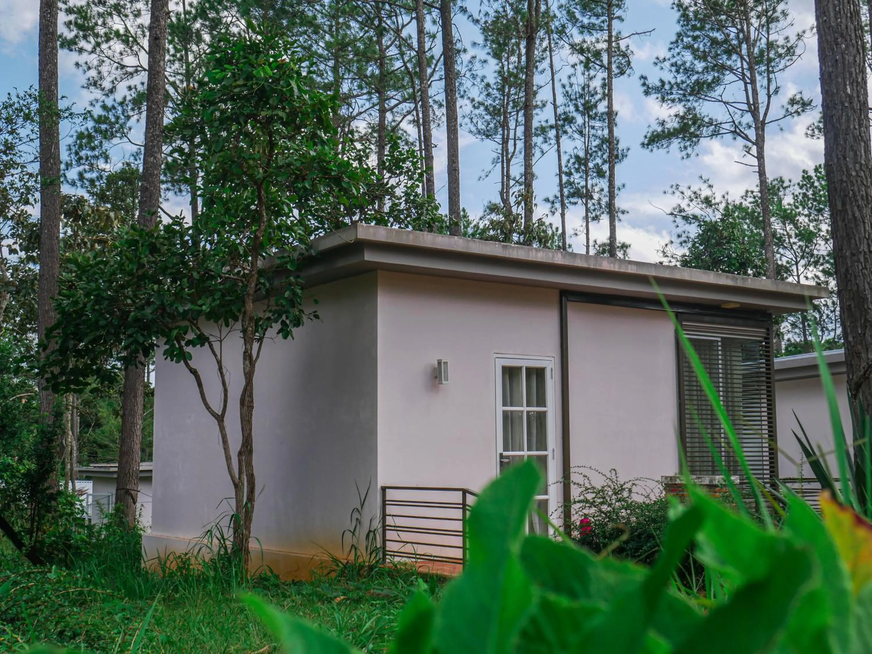 Property building in vKirirom Pine Resort