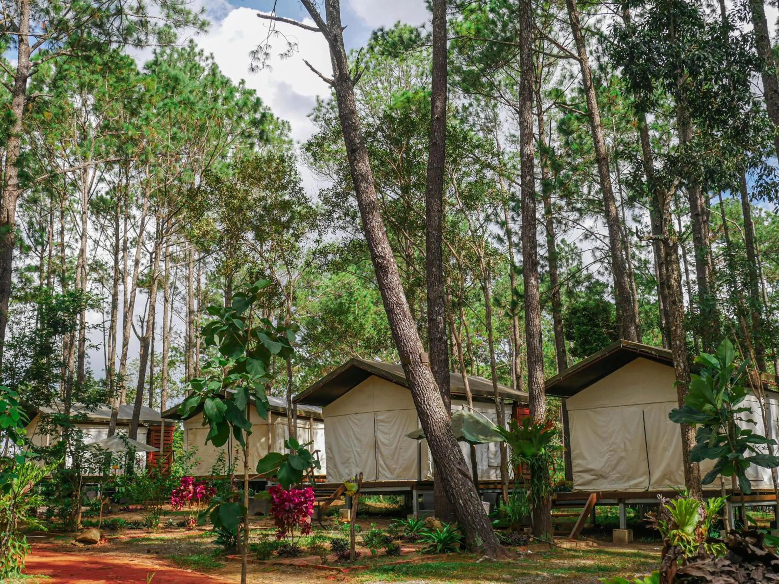 Property building in vKirirom Pine Resort