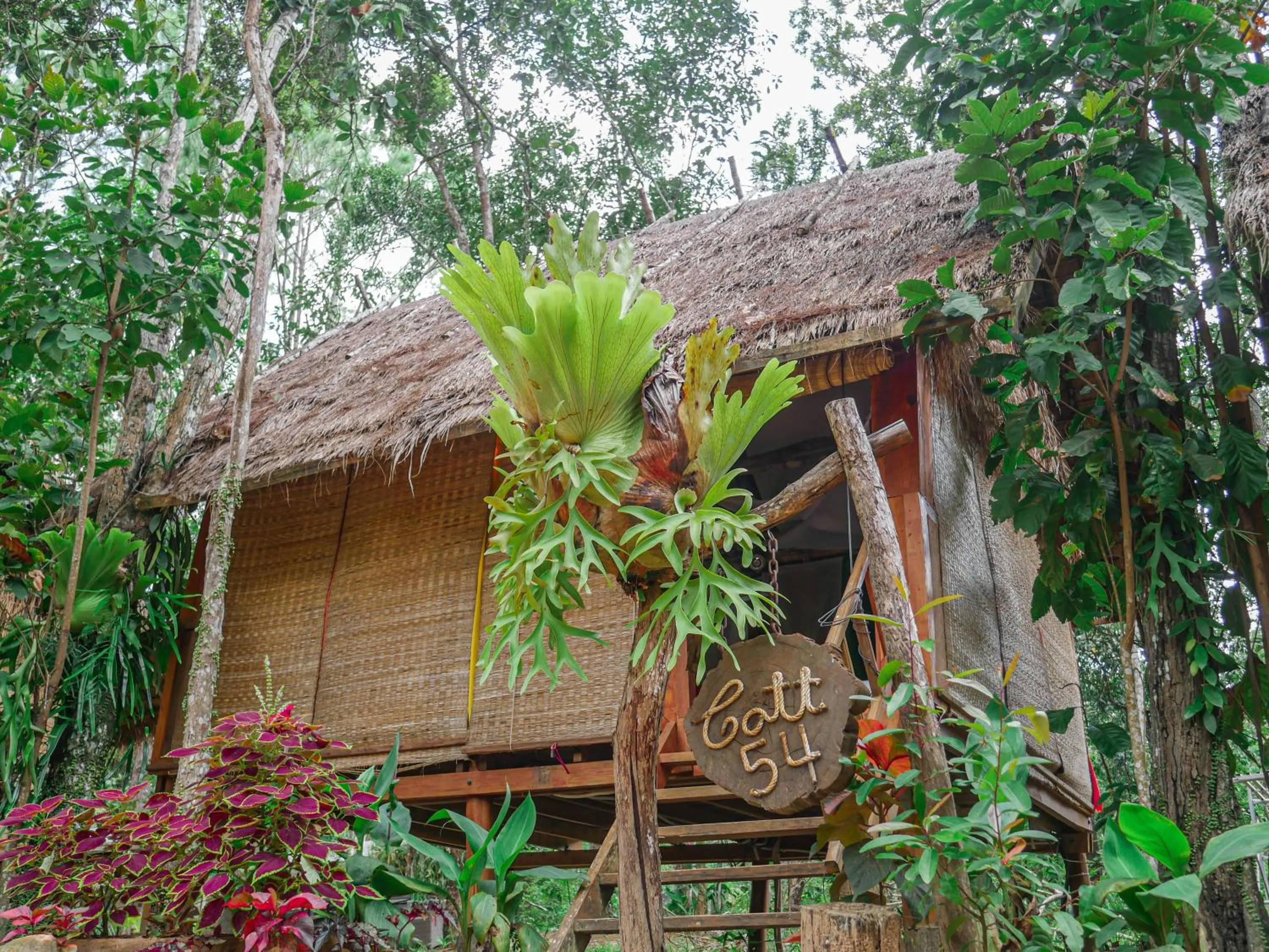 Property building in vKirirom Pine Resort