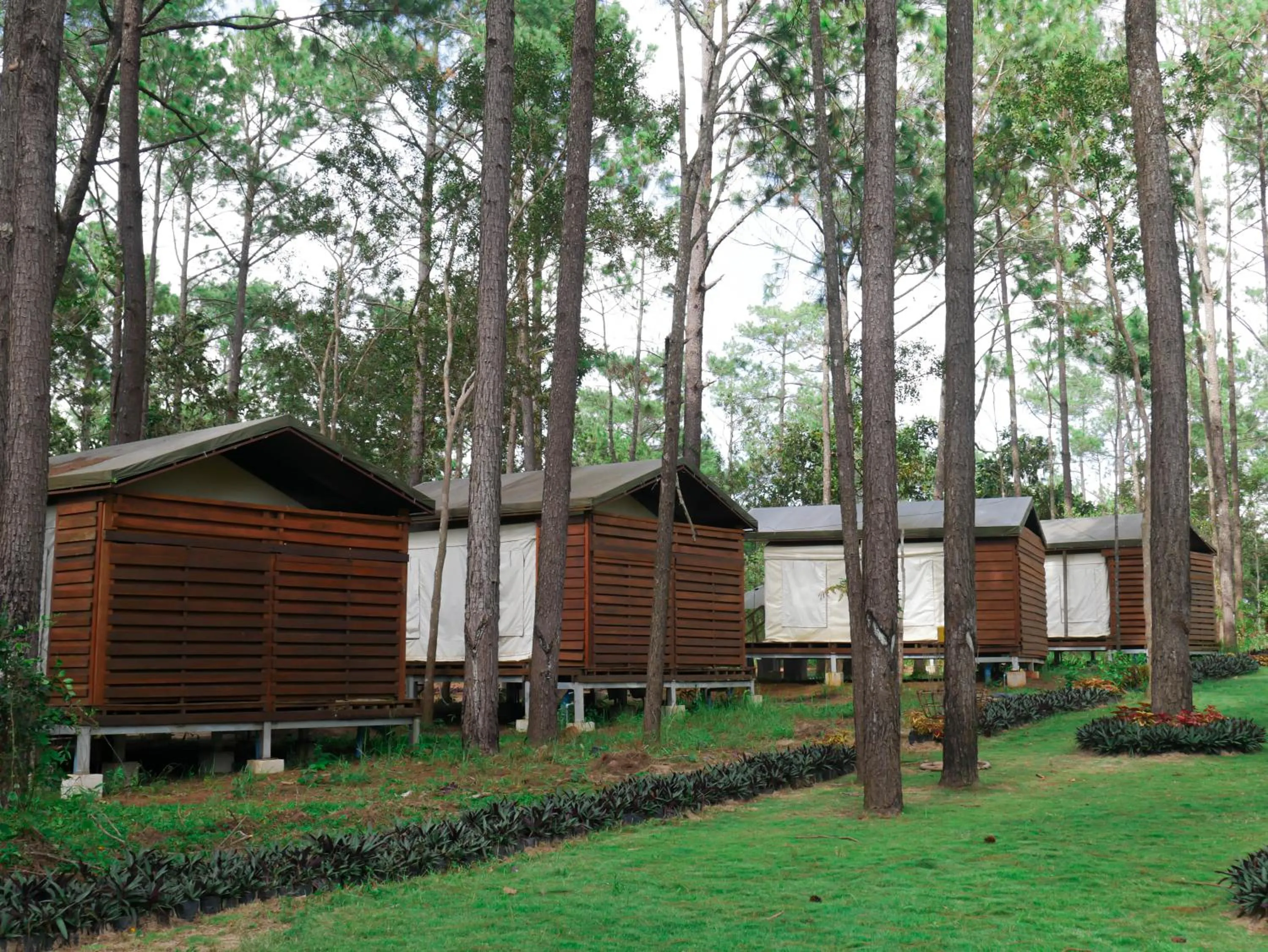 Property building in vKirirom Pine Resort