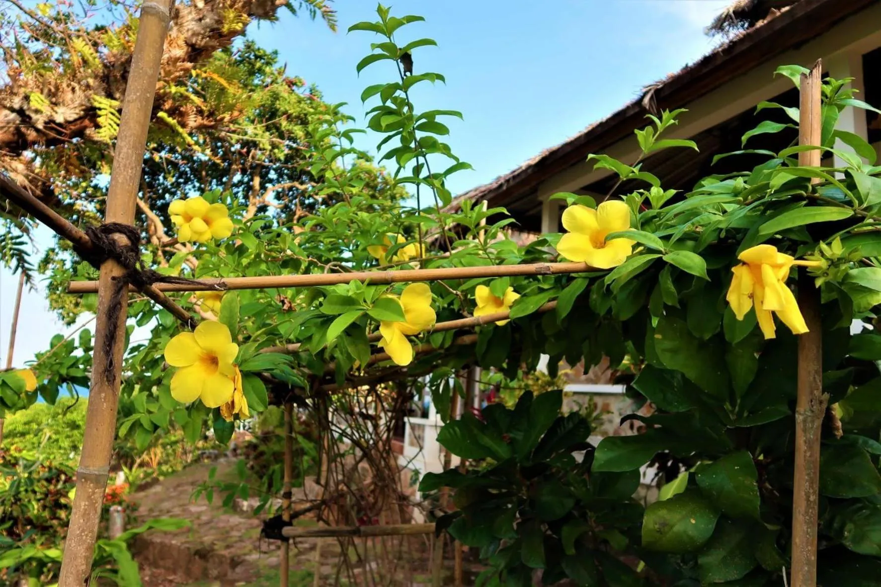 Garden in Breve Azurine Lagoon Resort