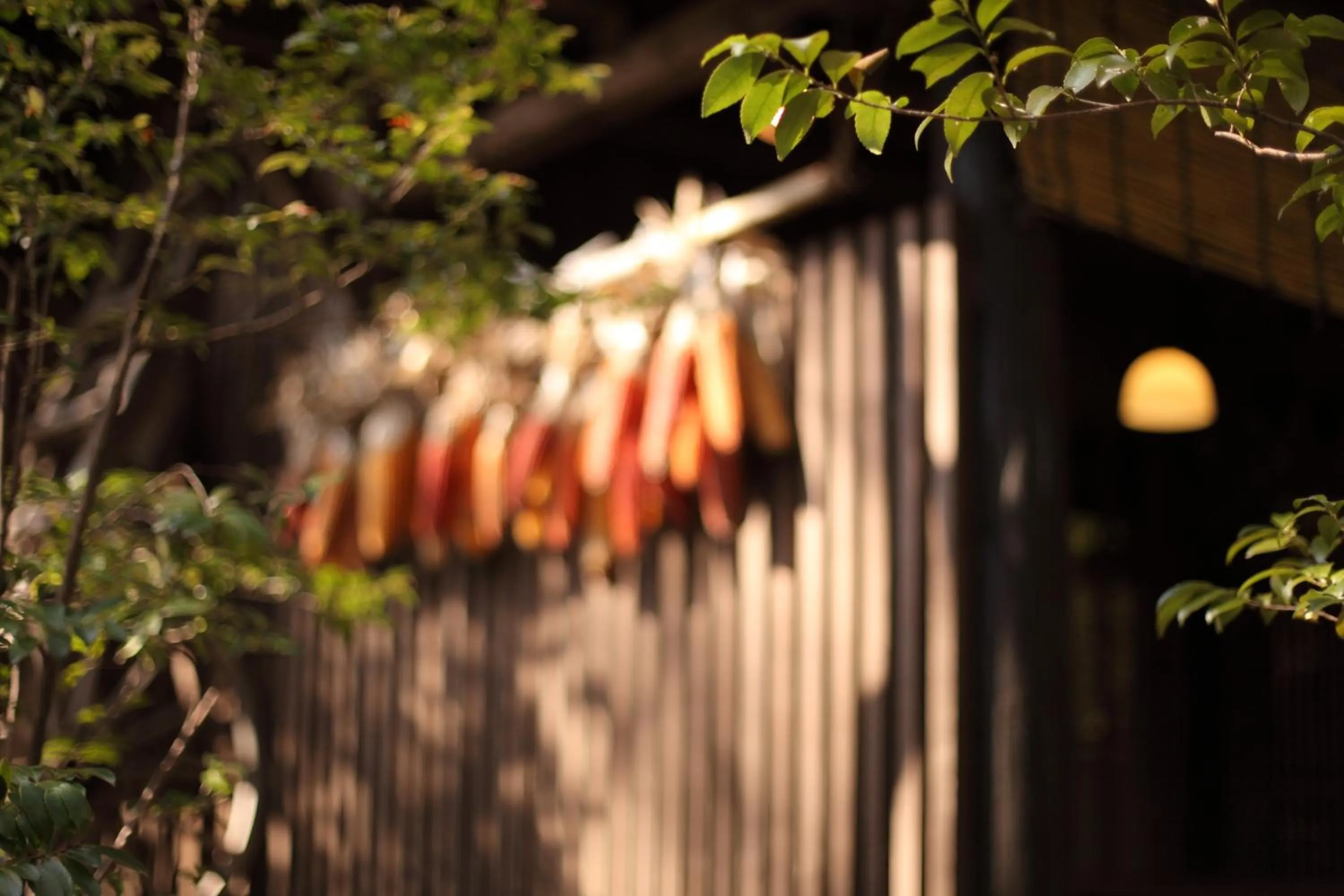 Other in Kurokawa Onsen Oyado Noshiyu