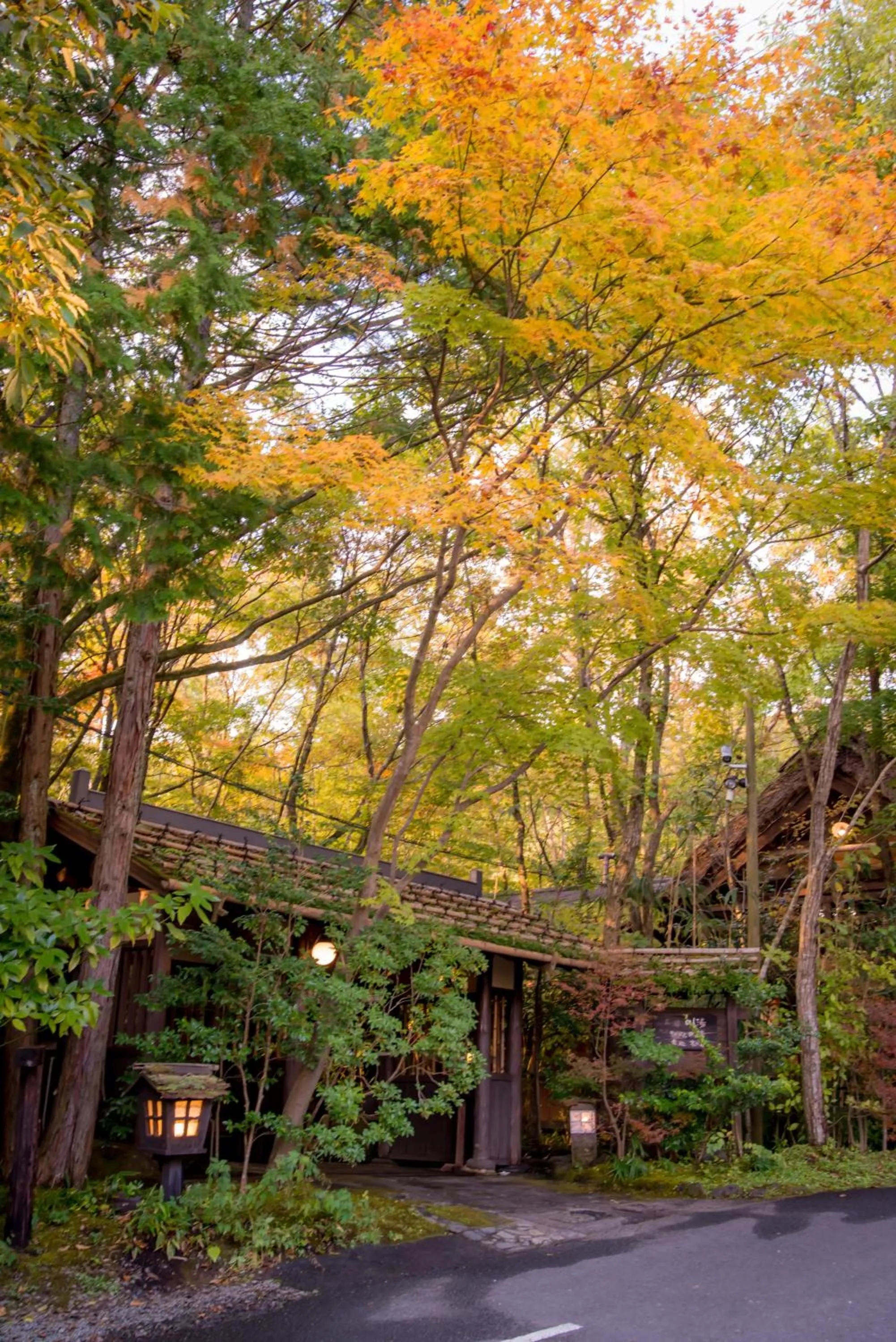 Area and facilities in Kurokawa Onsen Oyado Noshiyu