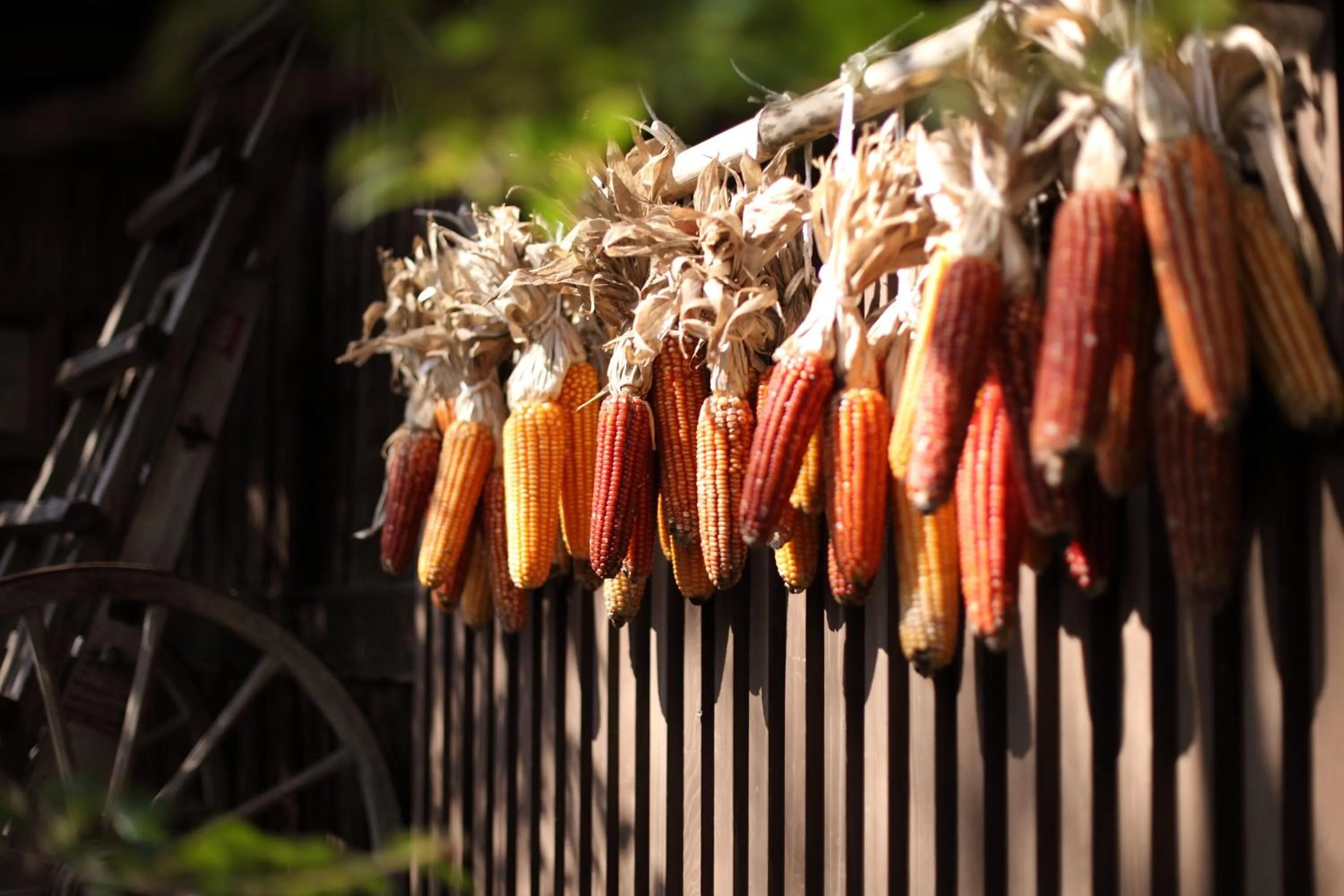 Decorative detail in Kurokawa Onsen Oyado Noshiyu