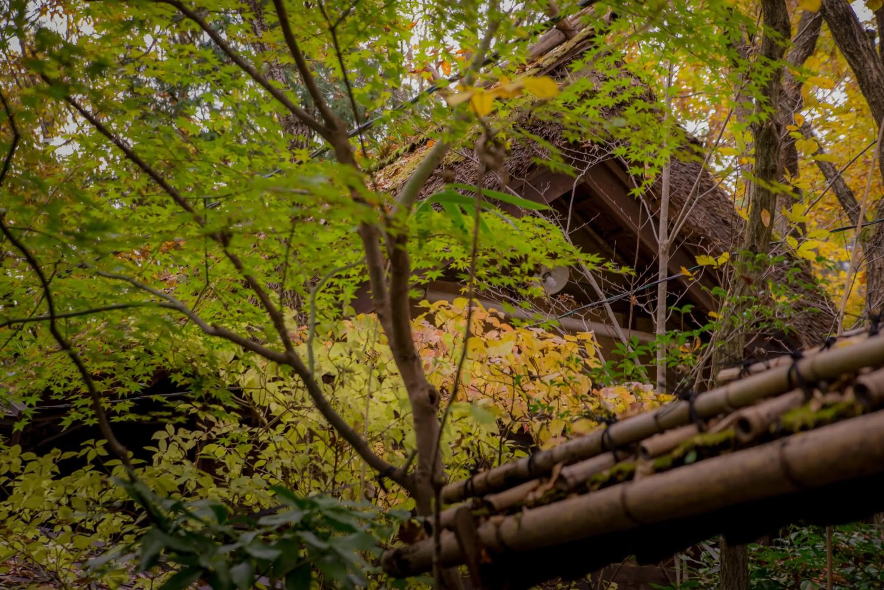 Other in Kurokawa Onsen Oyado Noshiyu