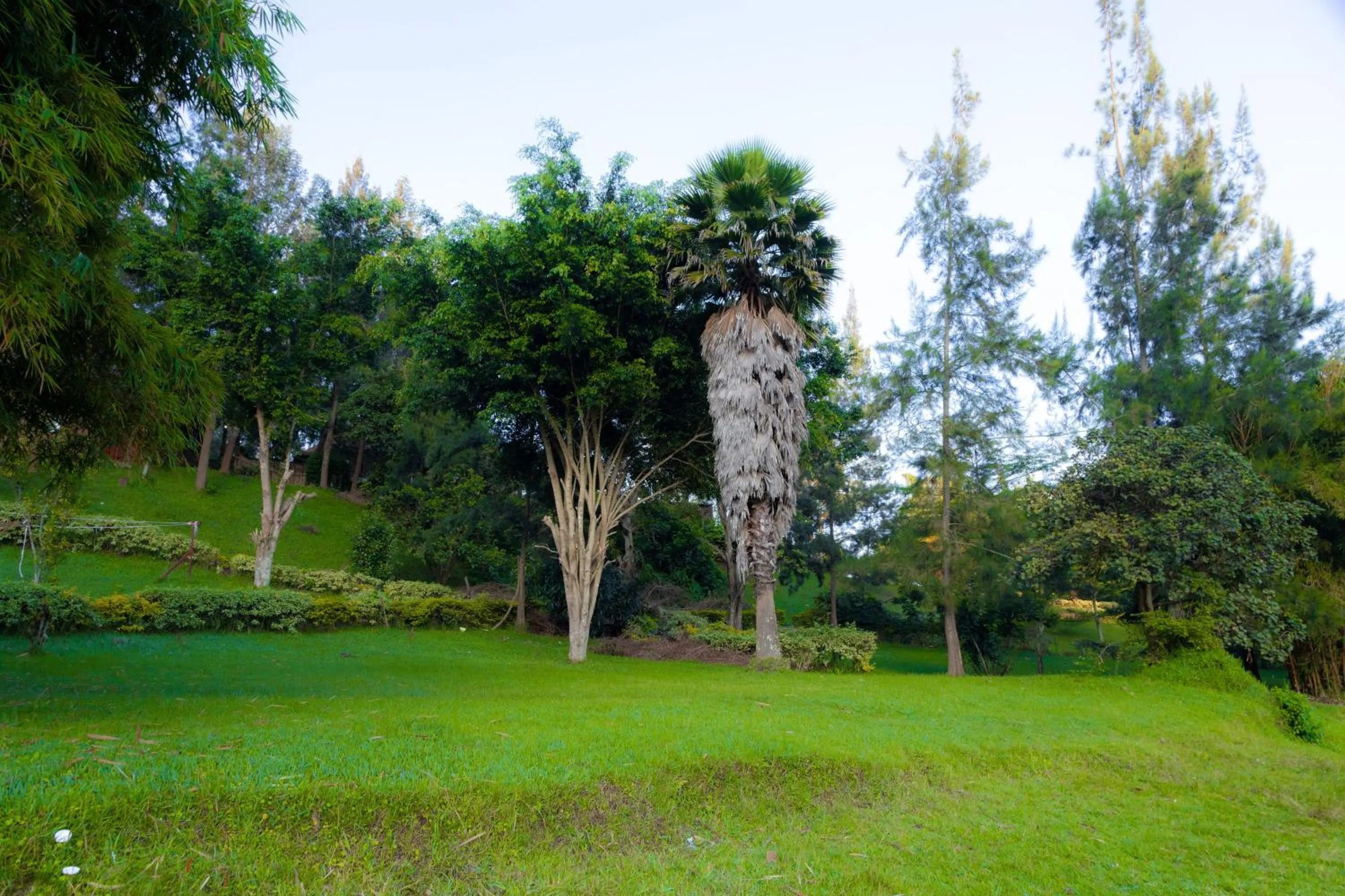 Garden in Ruhondo Beach Resort