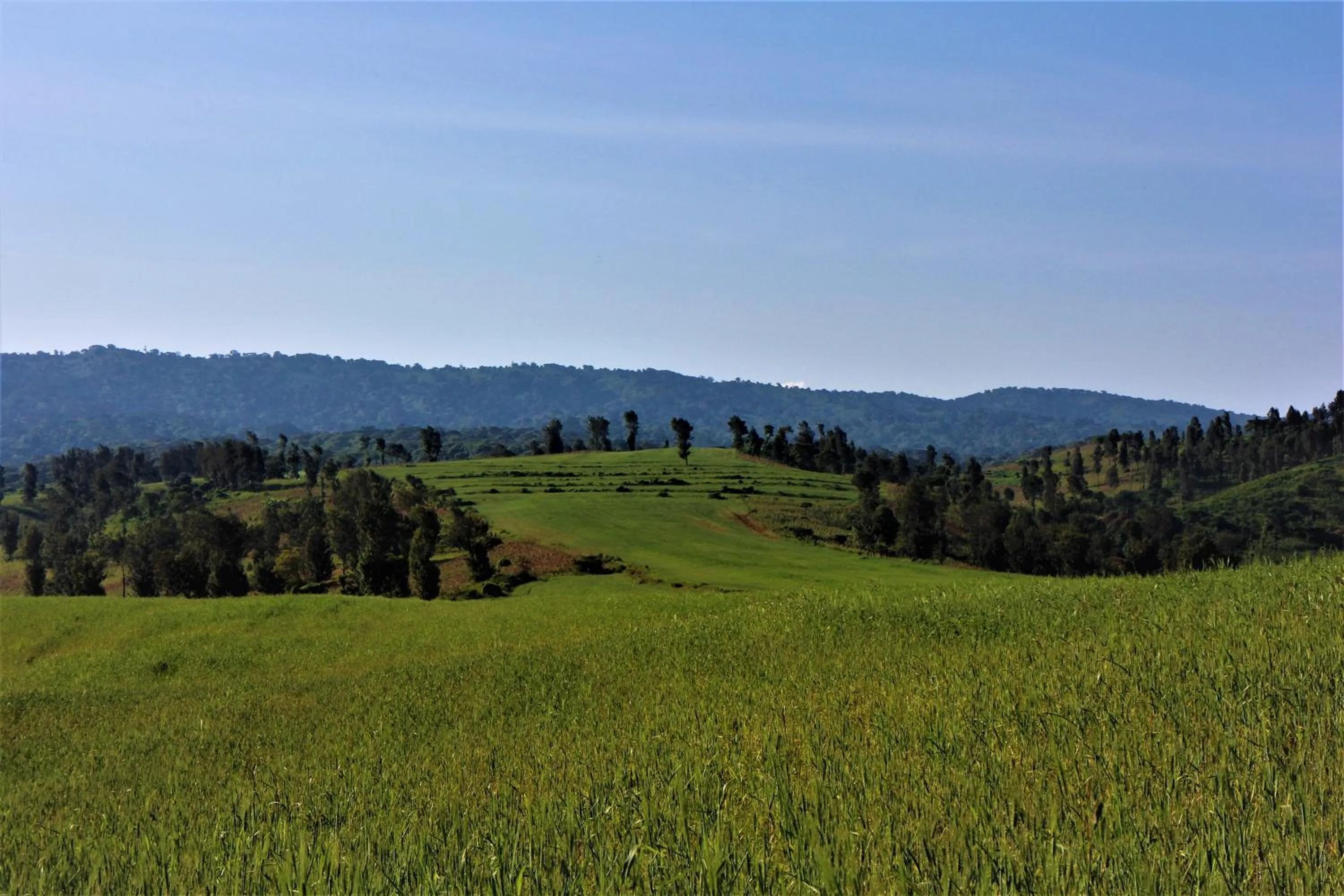 Day in STC.SAFARI LODGE