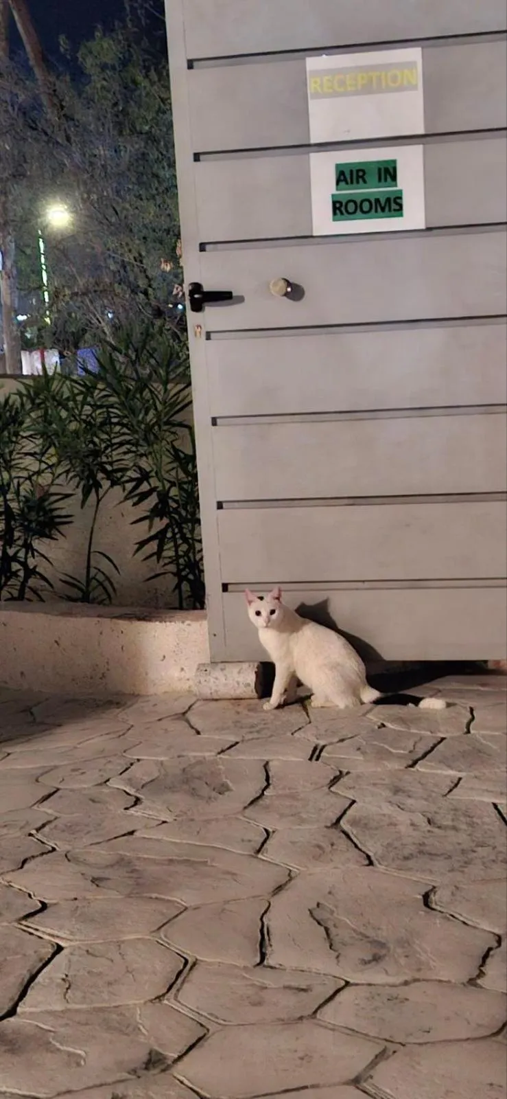 AIR-IN Rooms with magnificent views