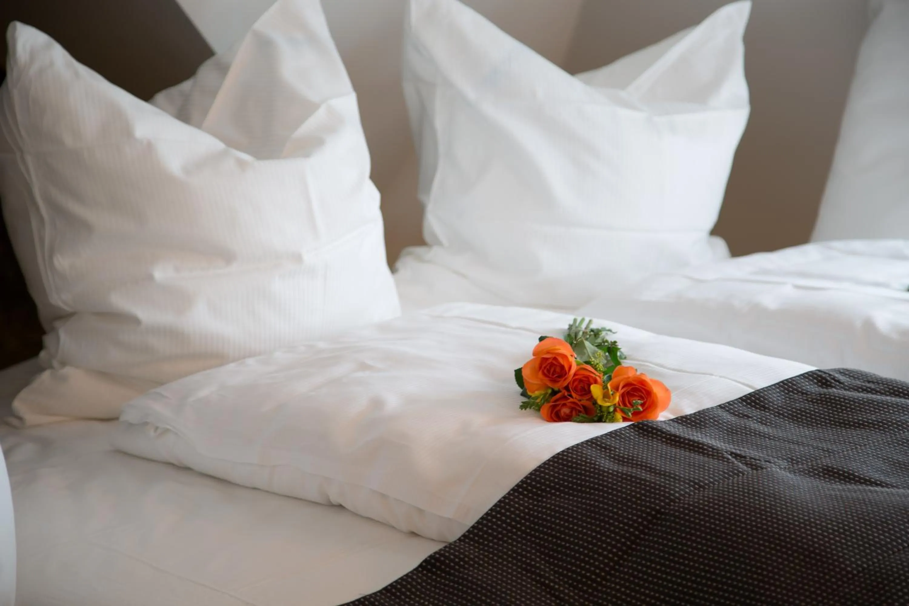 Bed in Alpha & Omega Hotel Stuttgart