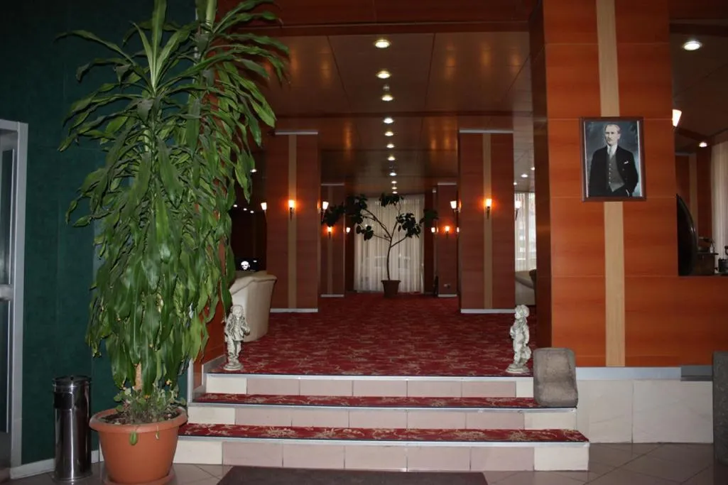 OTEL AMİLLER
