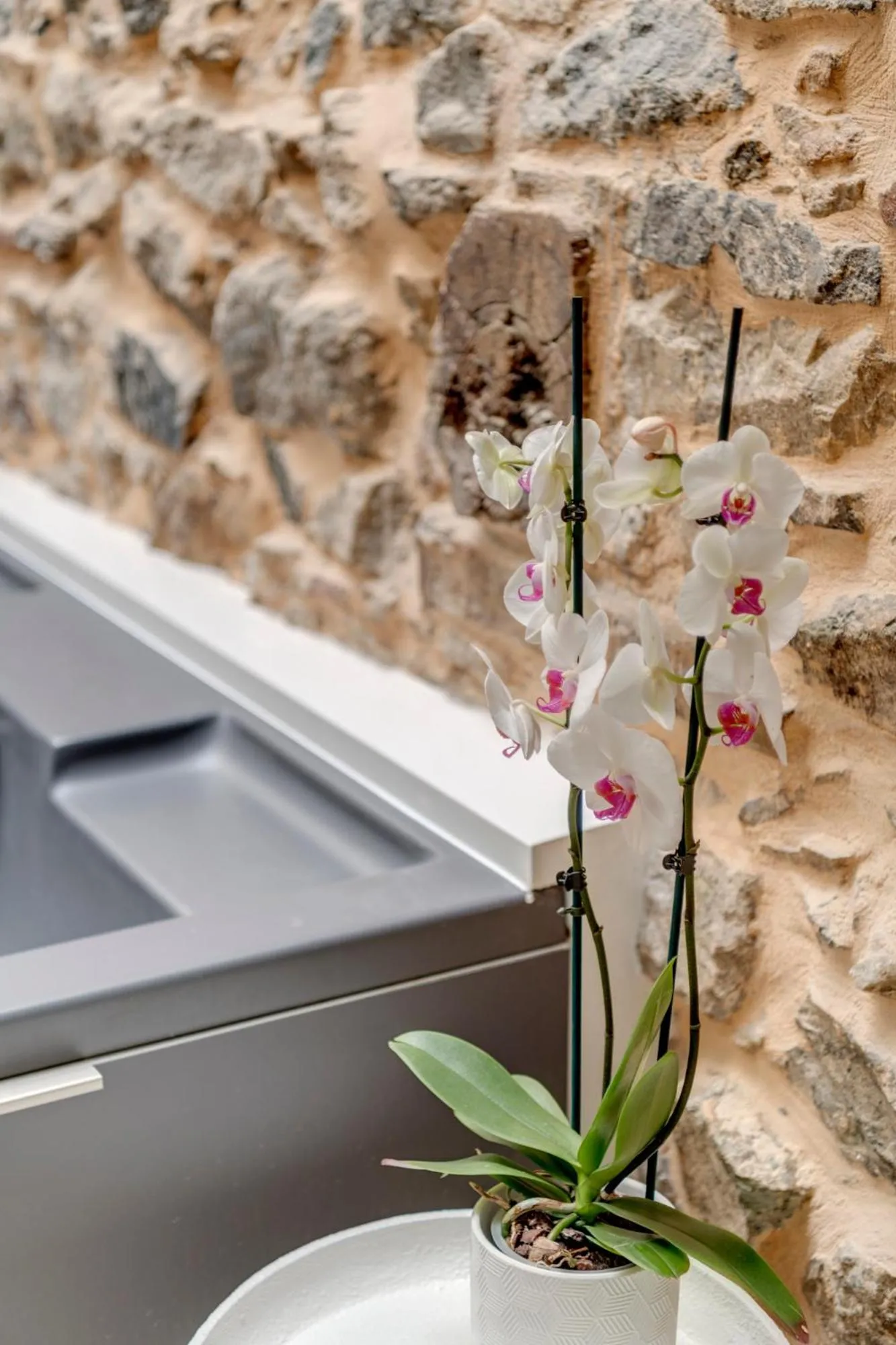 Decorative detail in Skylight