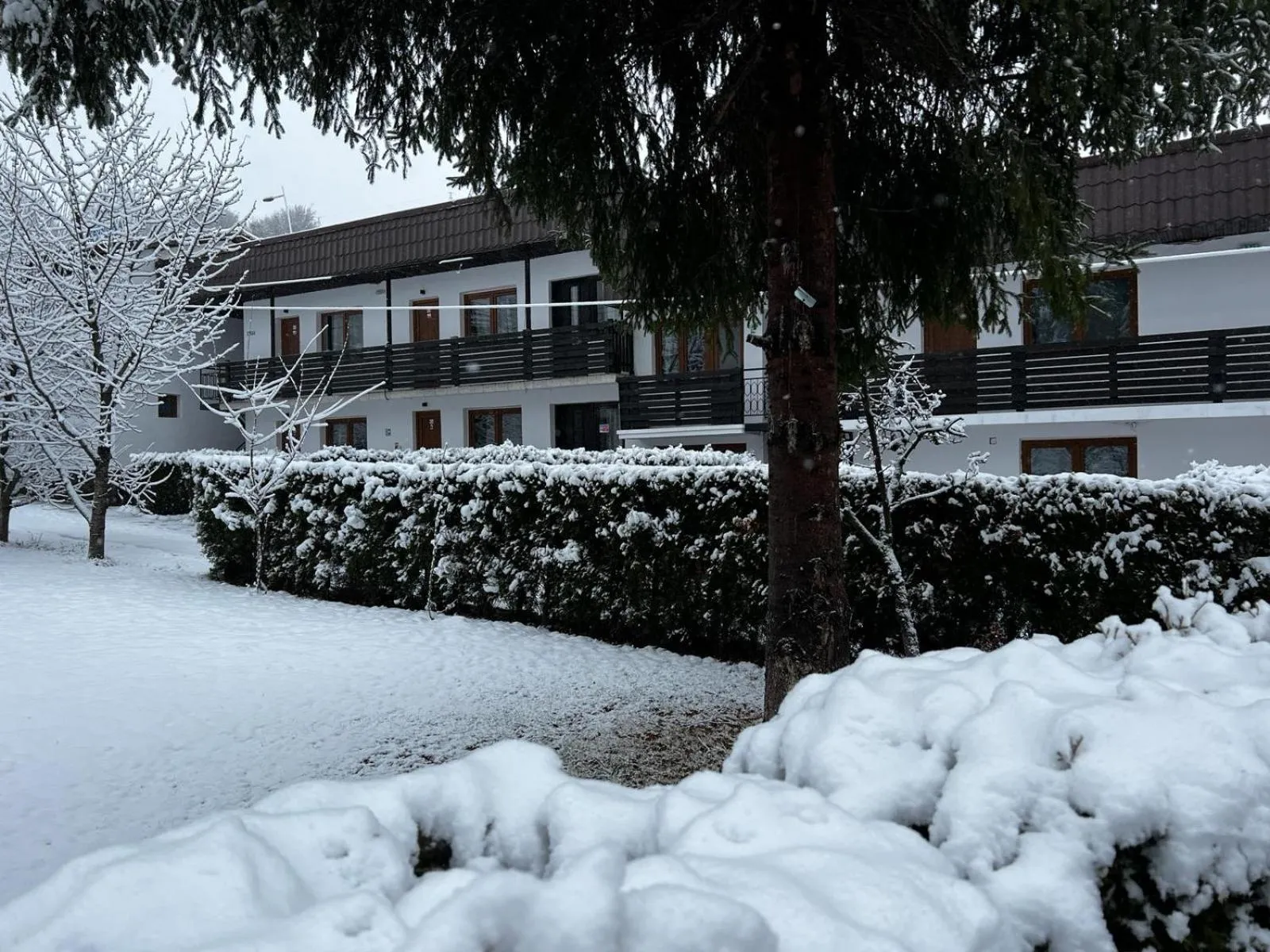 Pensiunea Bavaria Campina