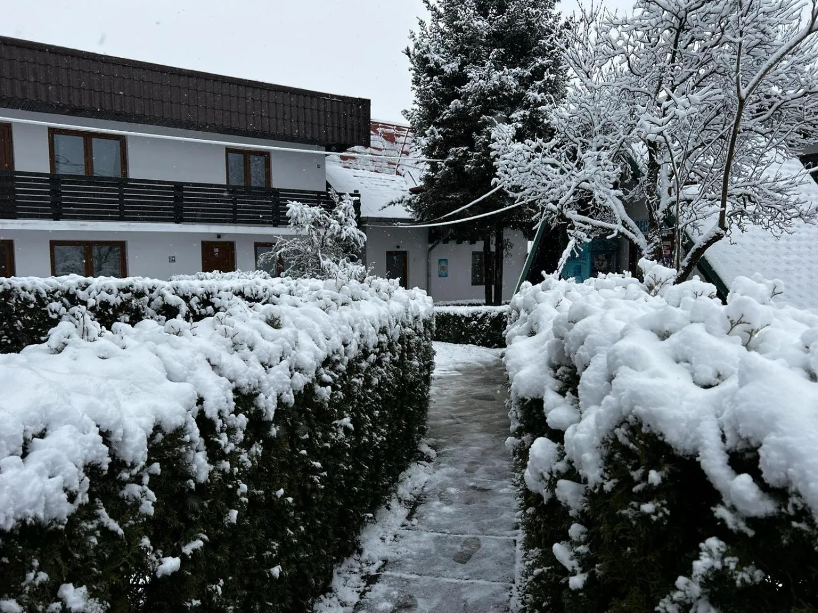 Pensiunea Bavaria Campina