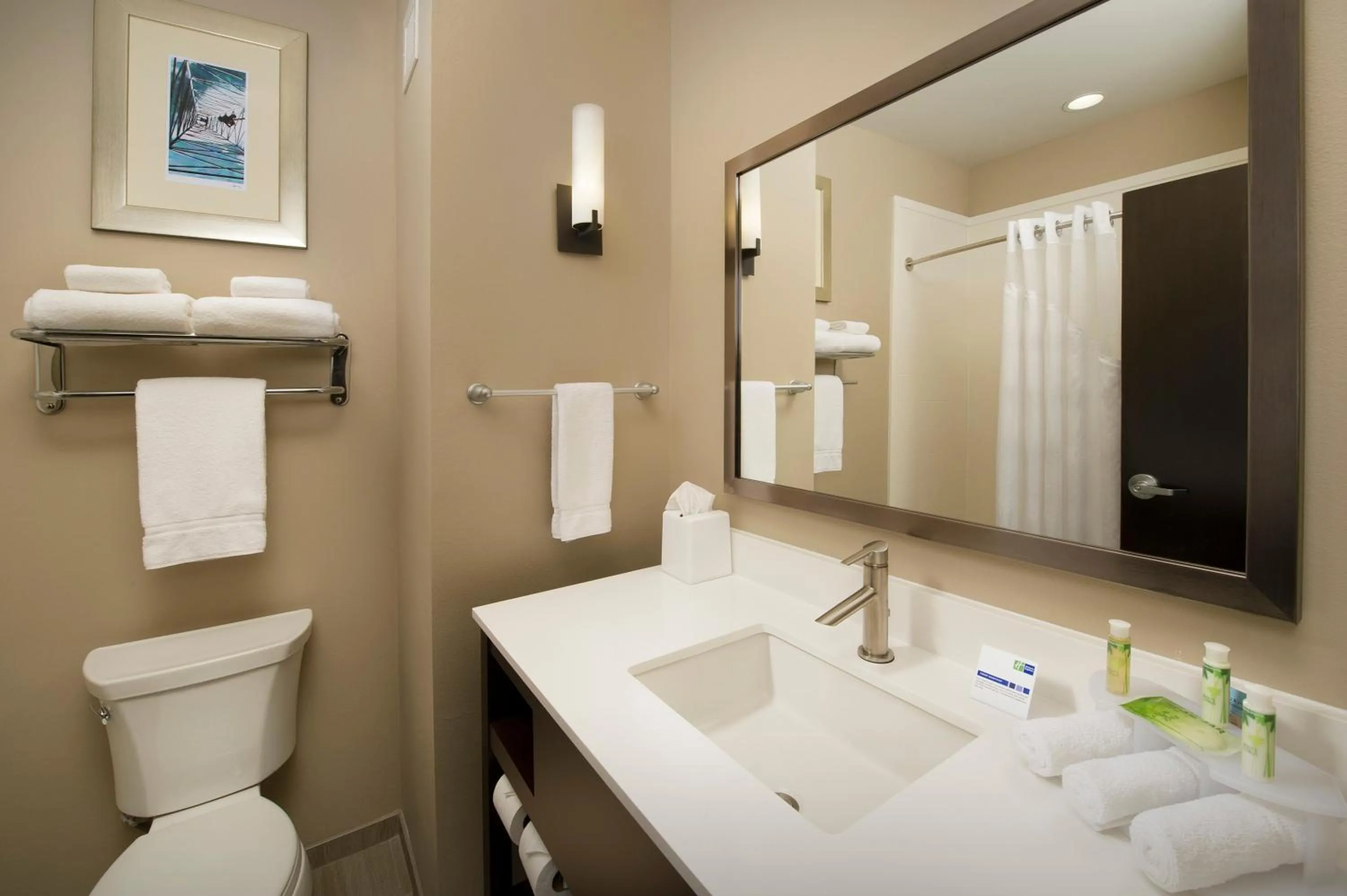 Bathroom in Holiday Inn Express Hotel & Suites Waco South by IHG