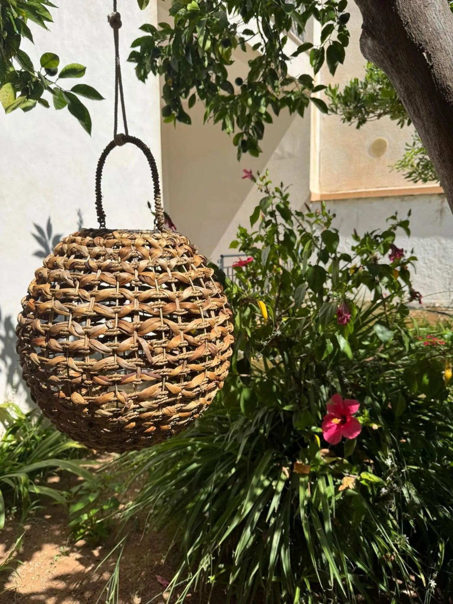 Garden in La Conchiglia sul mare Hotel