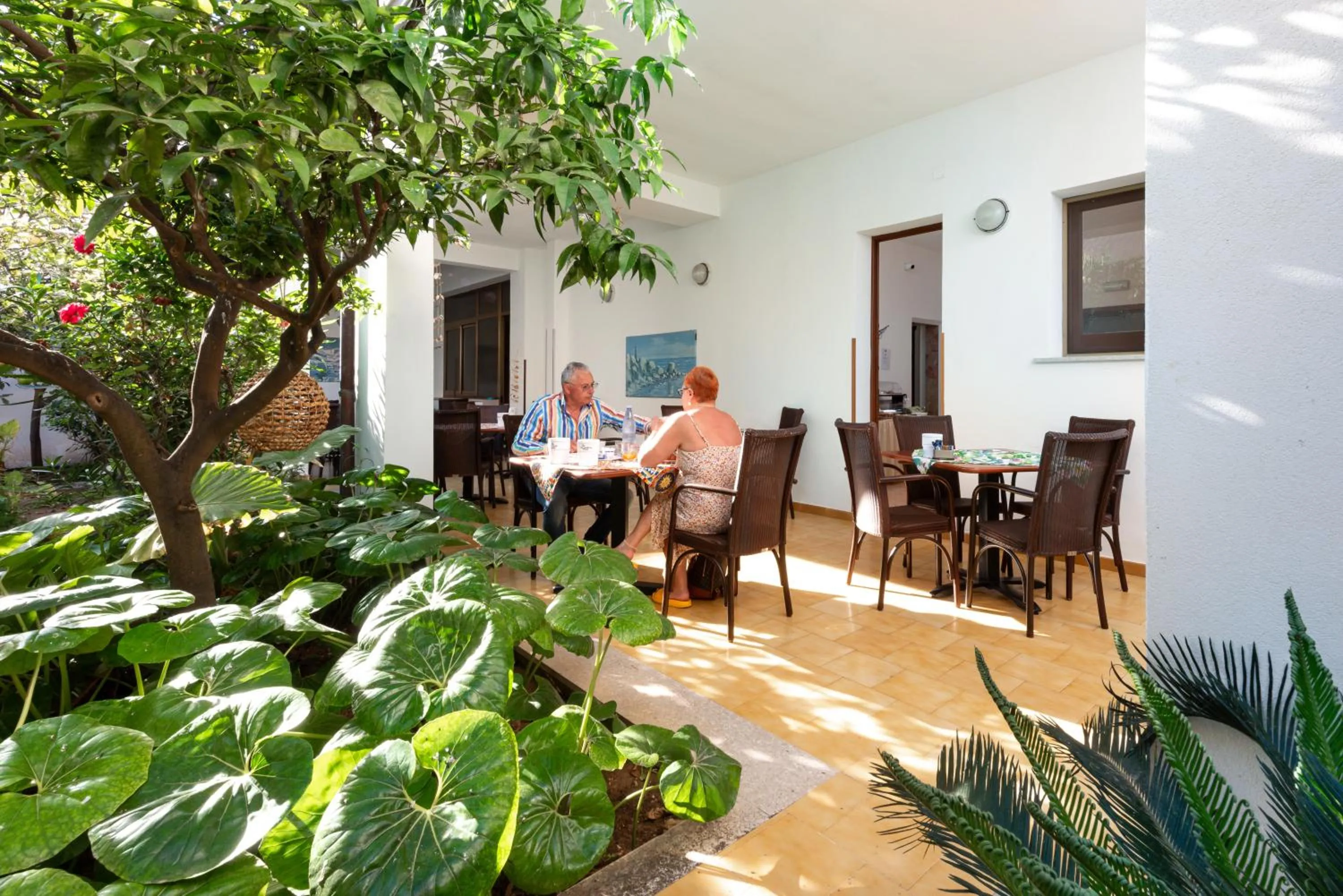 Garden in La Conchiglia sul mare Hotel