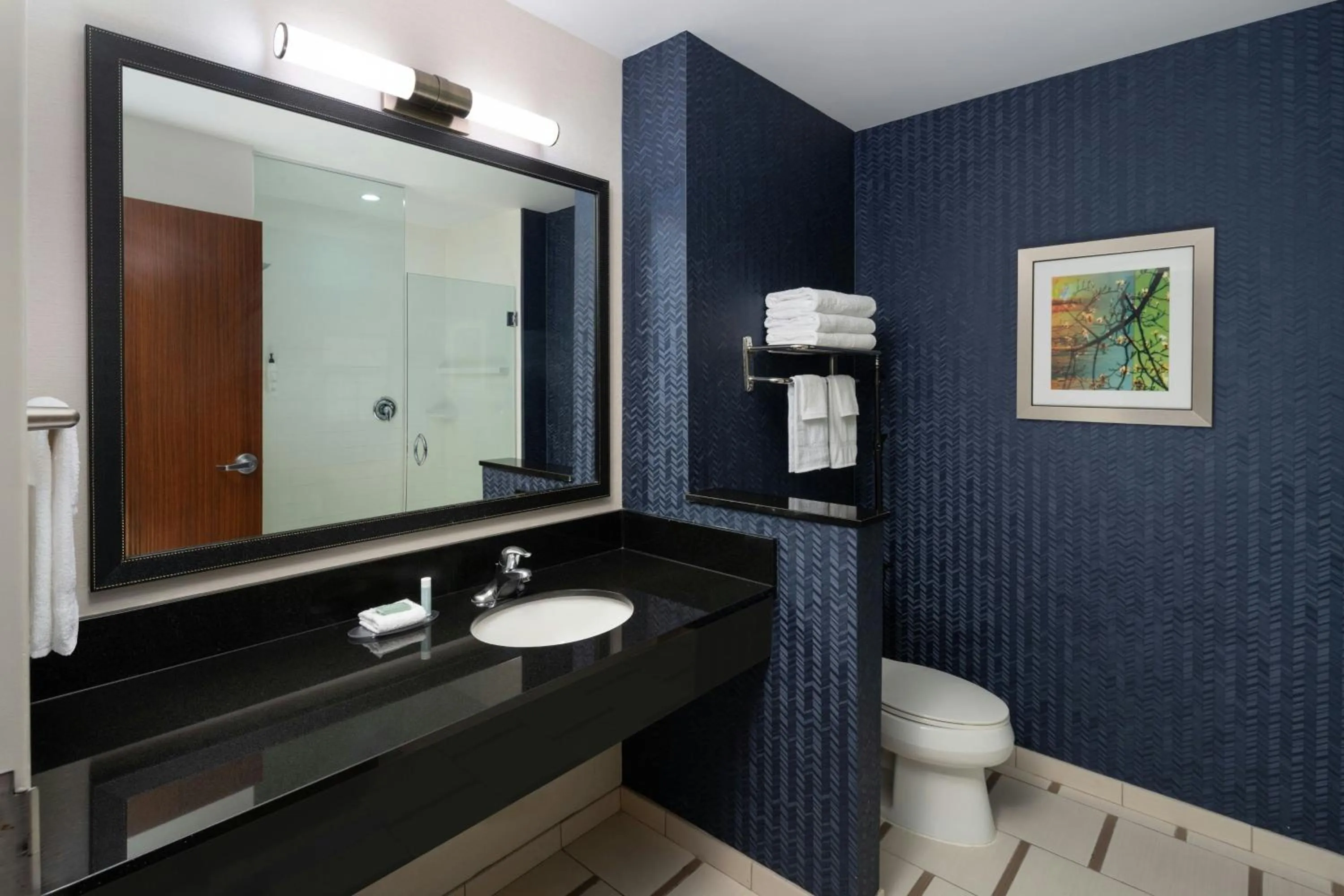 Bathroom in Fairfield Inn & Suites by Marriott Delray Beach I-95