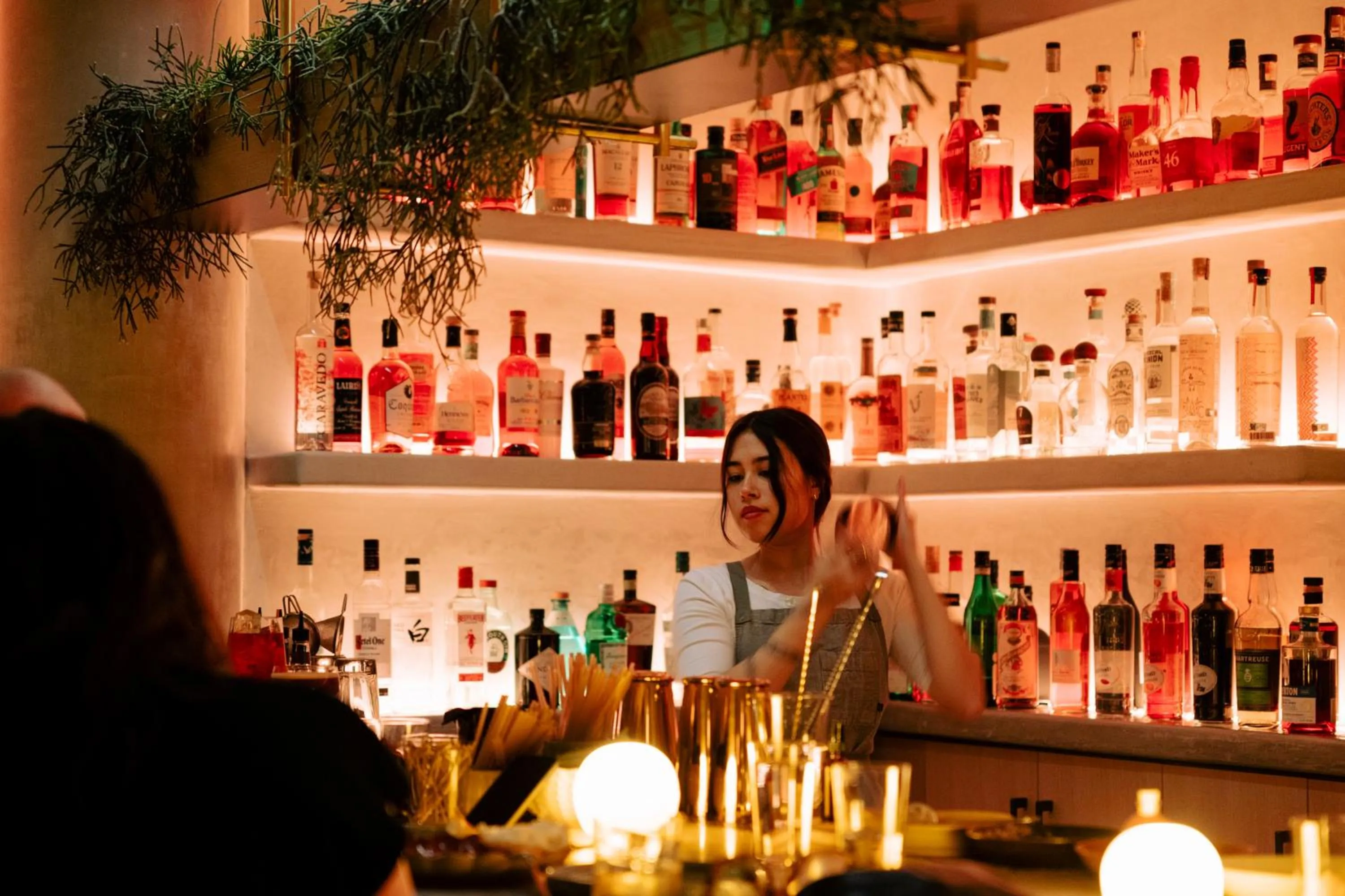 Lounge or bar in CASCADA Thermal Springs & Hotel