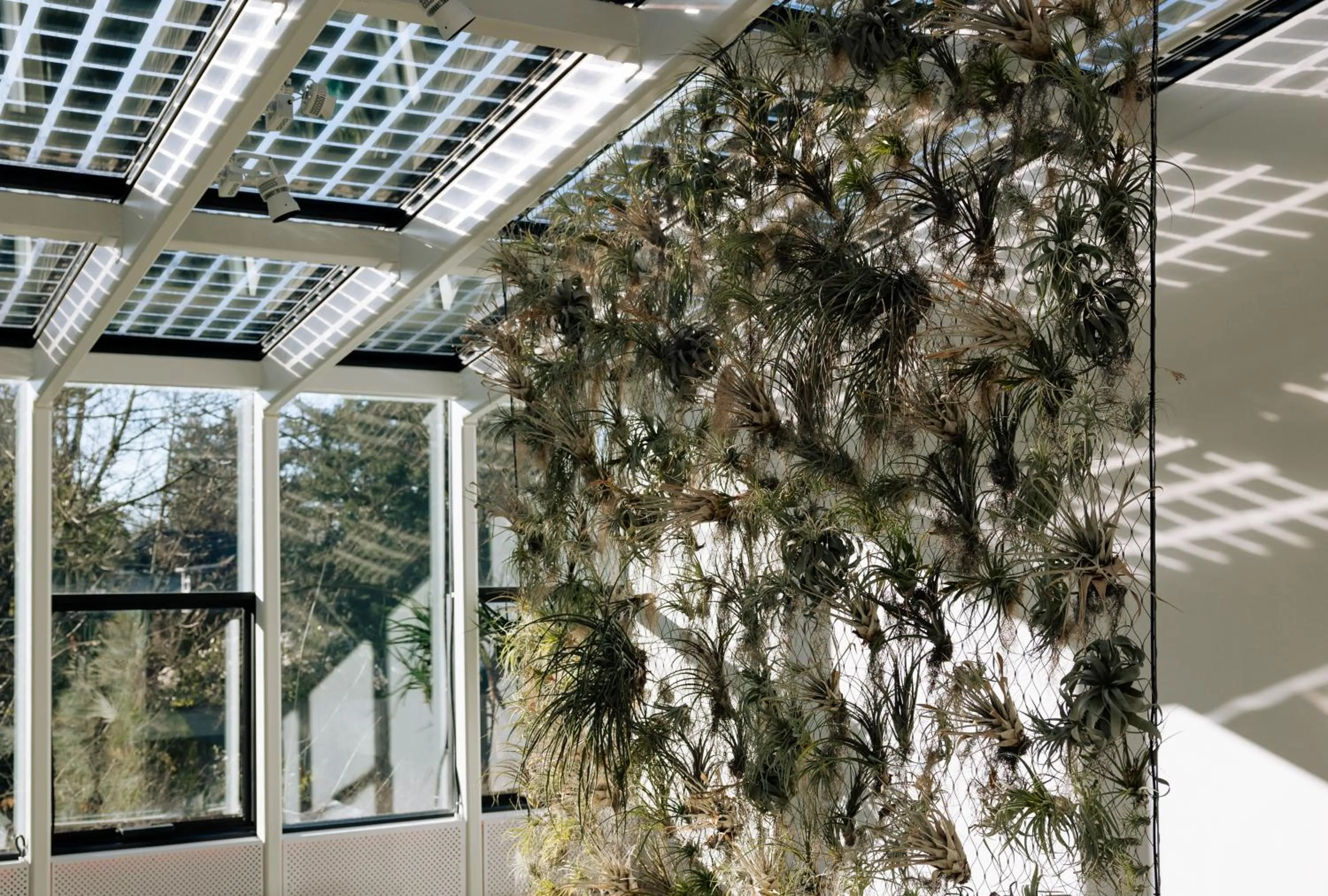 Natural landscape in CASCADA Thermal Springs & Hotel