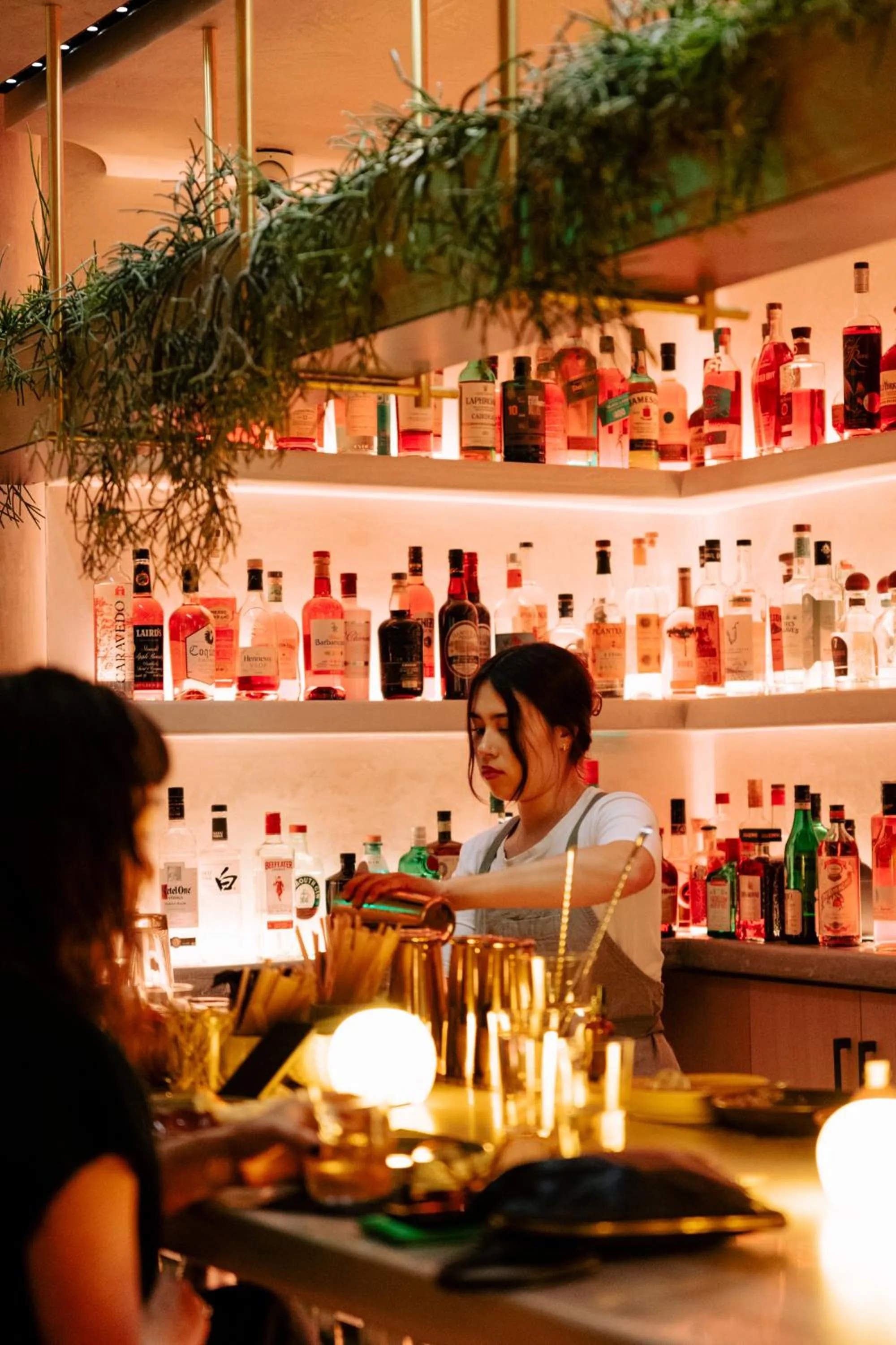 Lounge or bar in CASCADA Thermal Springs & Hotel