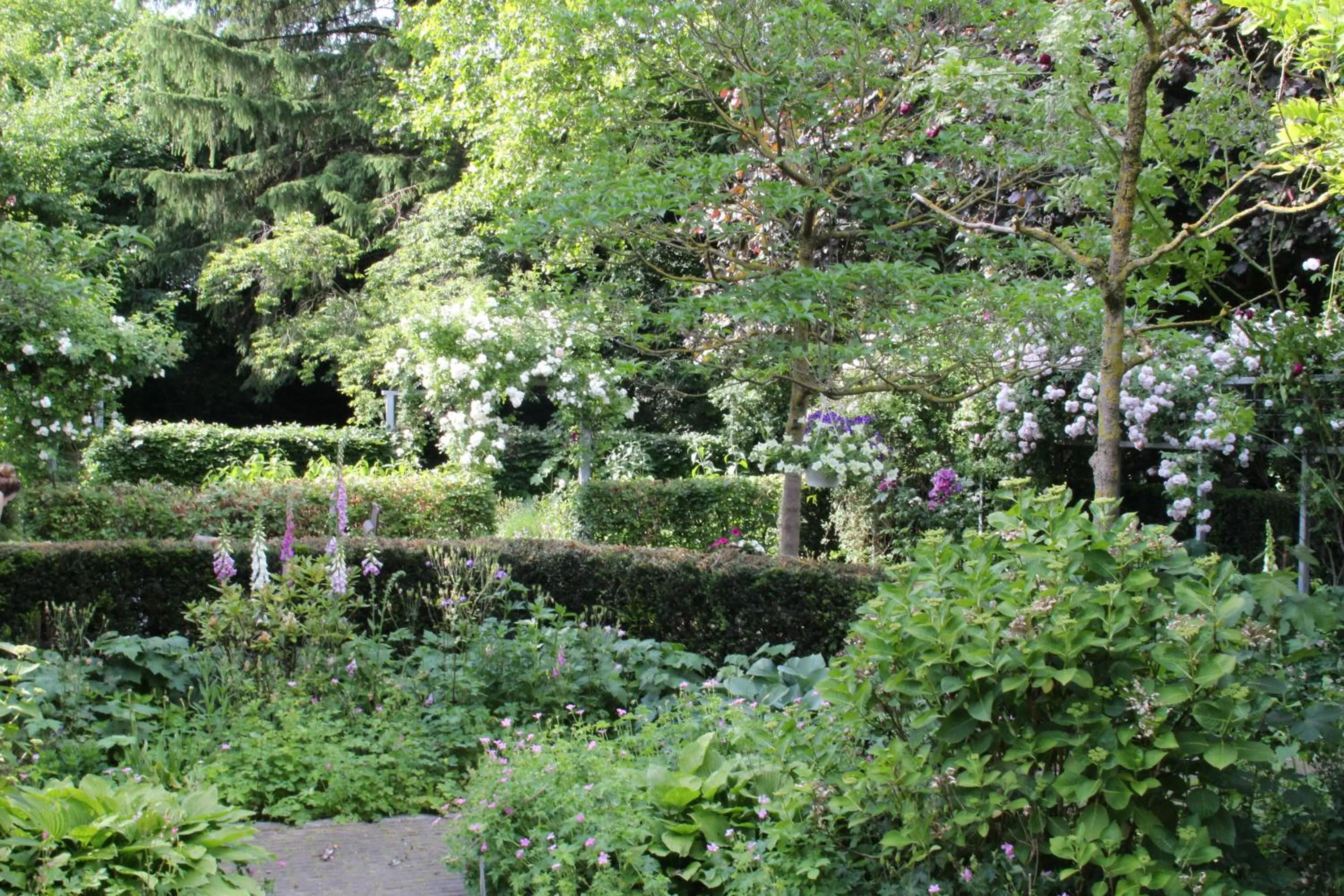 Garden in Annelies'Place to B& B