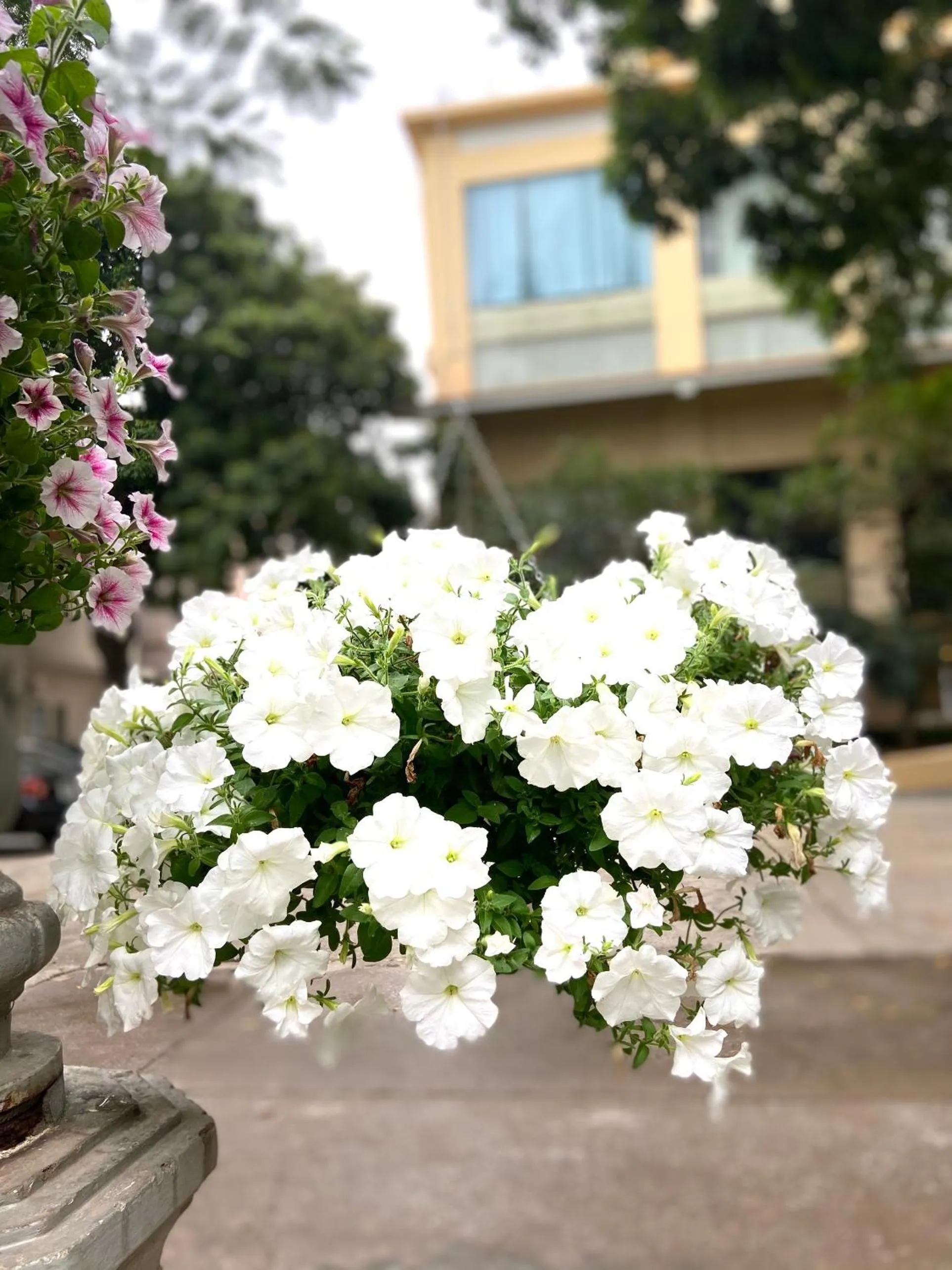 Khách sạn Công Đoàn Quảng Bá