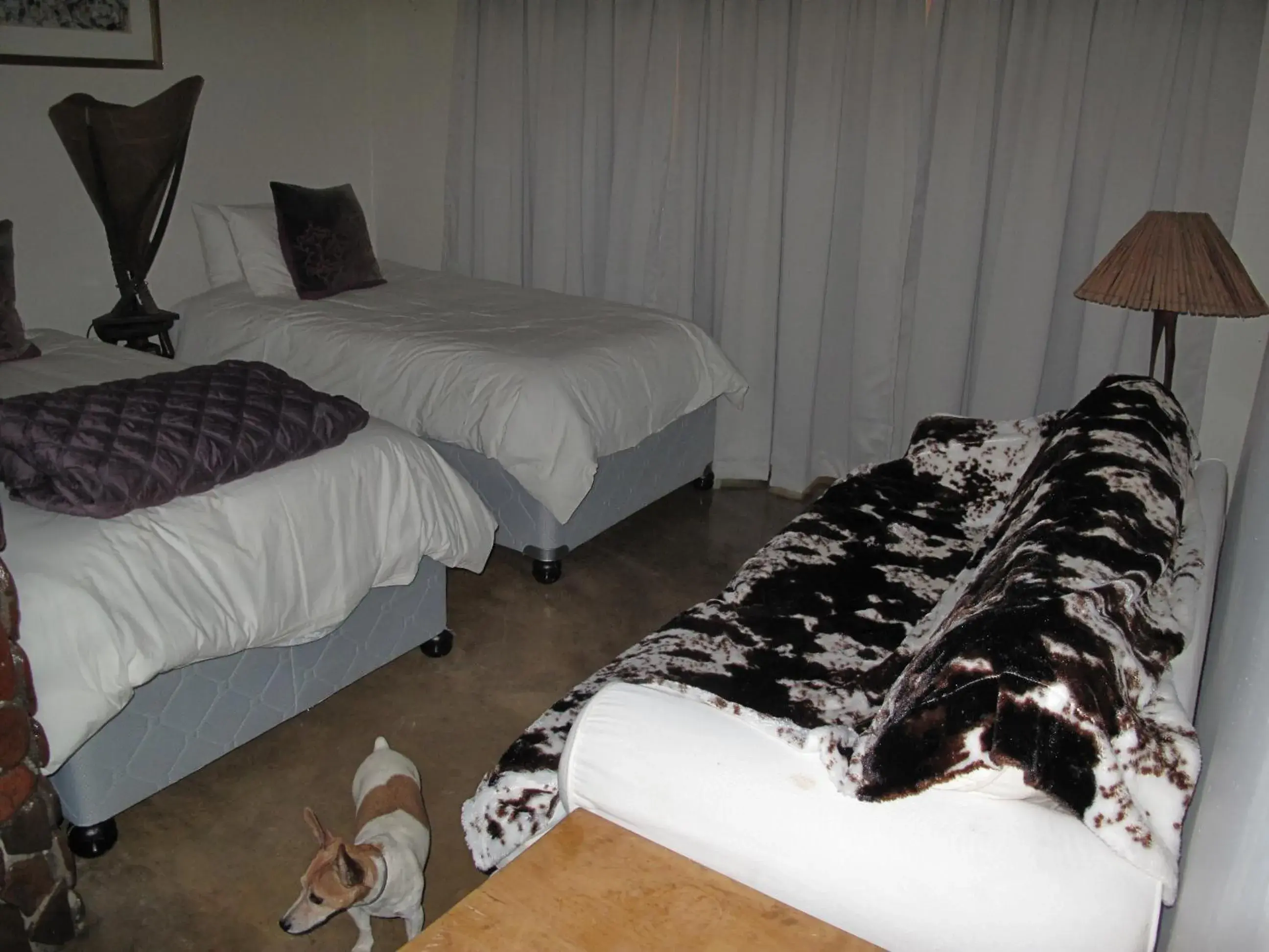 Bedroom, Bed in Caracal Lodge Bedroom, Bed in Caracal Lodge