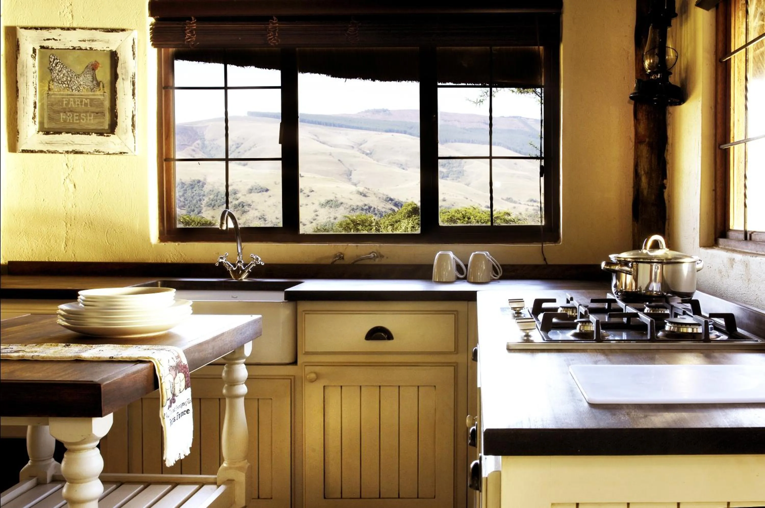 Kitchen or kitchenette in Caracal Lodge