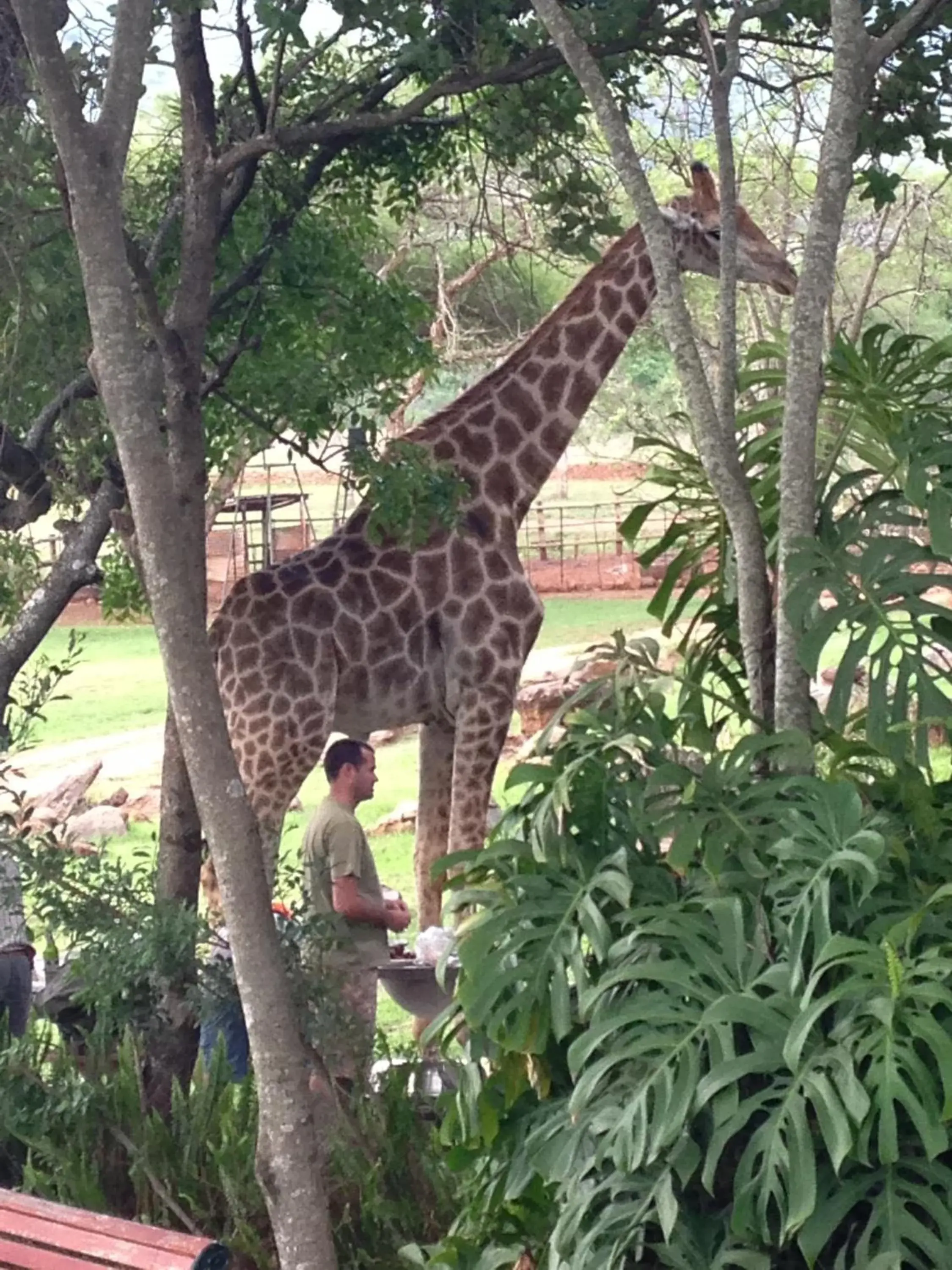 View (from property/room) in Caracal Lodge View (from property/room) in Caracal Lodge