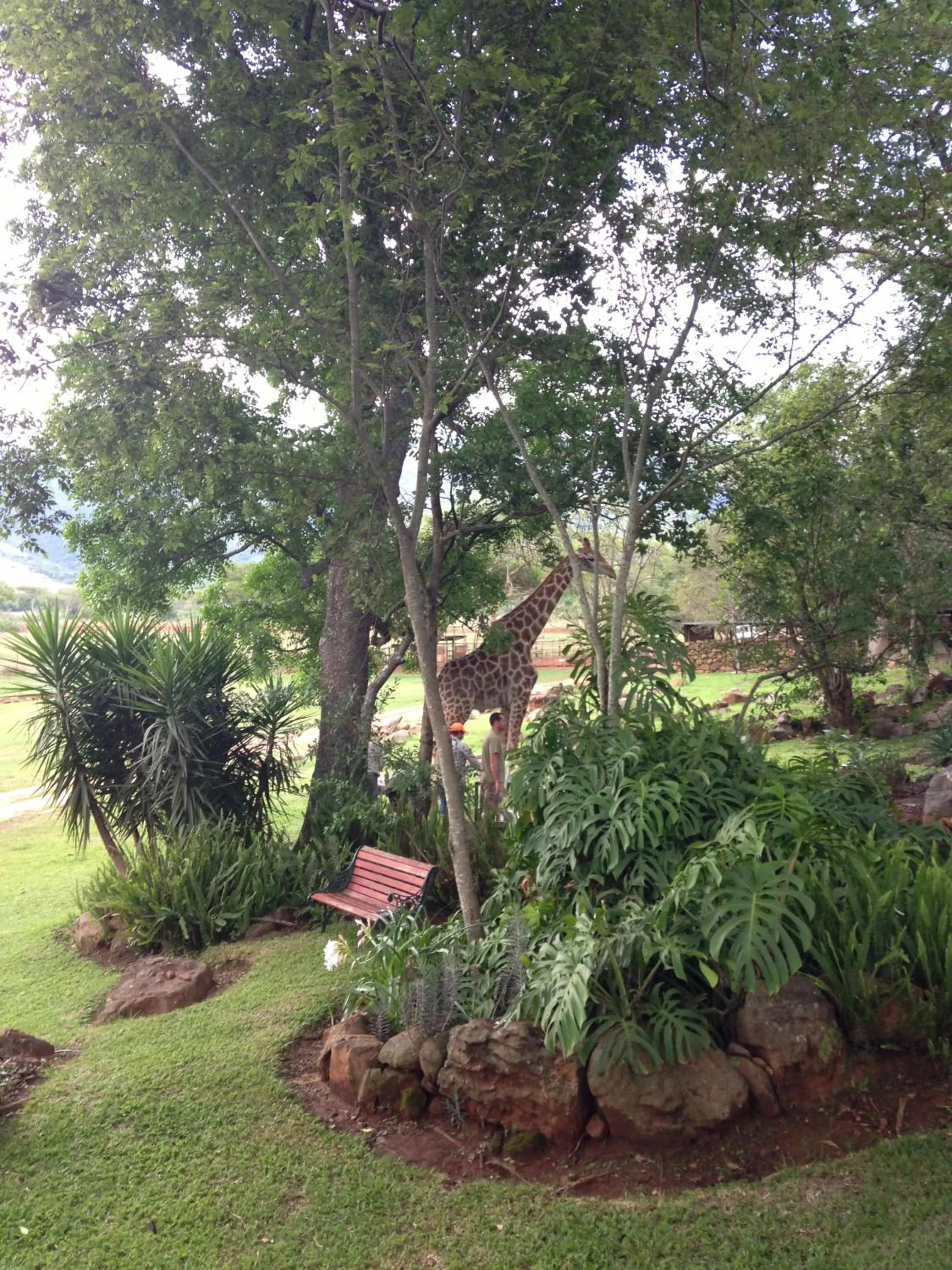 Garden in Caracal Lodge