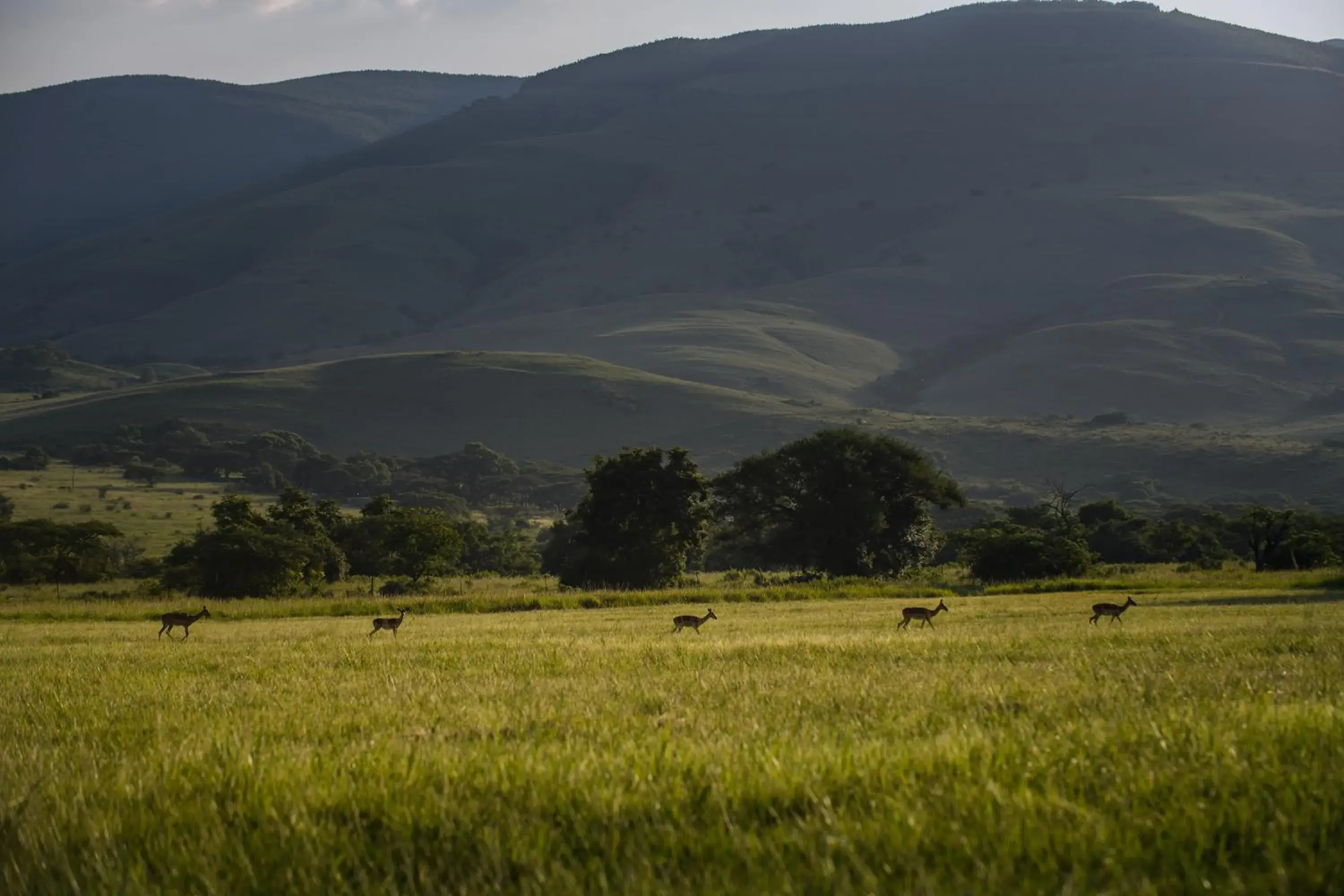 View (from property/room) in Caracal Lodge View (from property/room) in Caracal Lodge