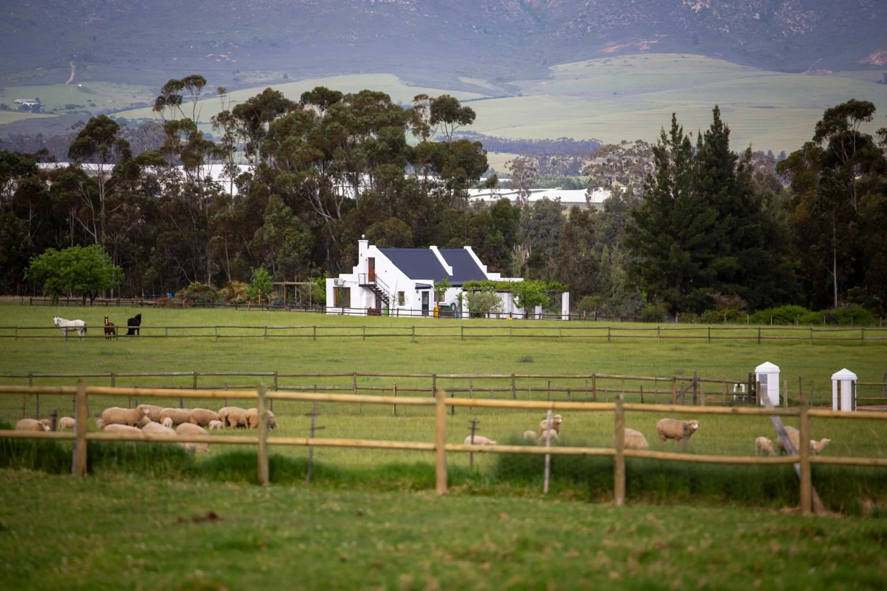 Property building in Raptor Rise Farm