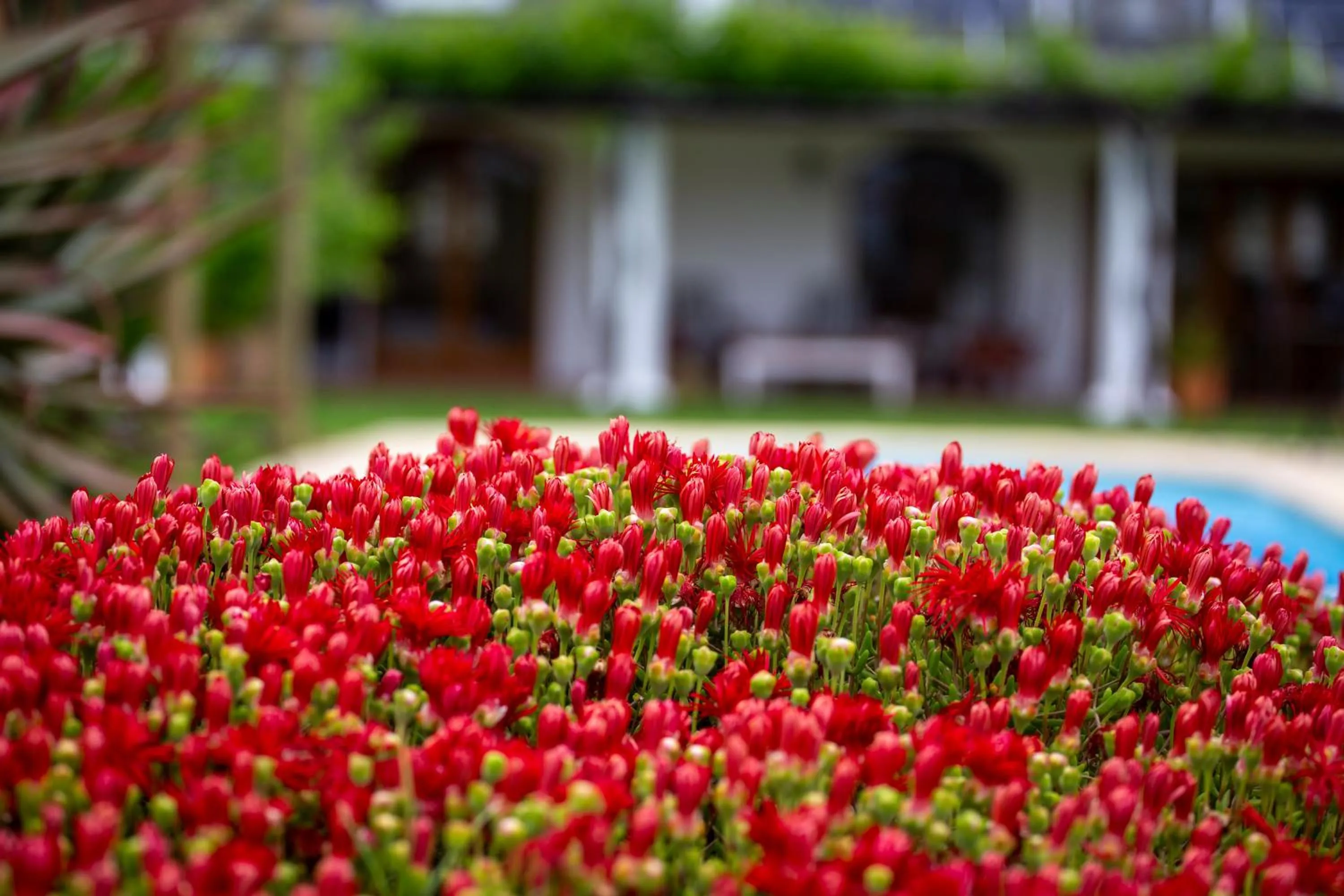 Spring in Raptor Rise Farm