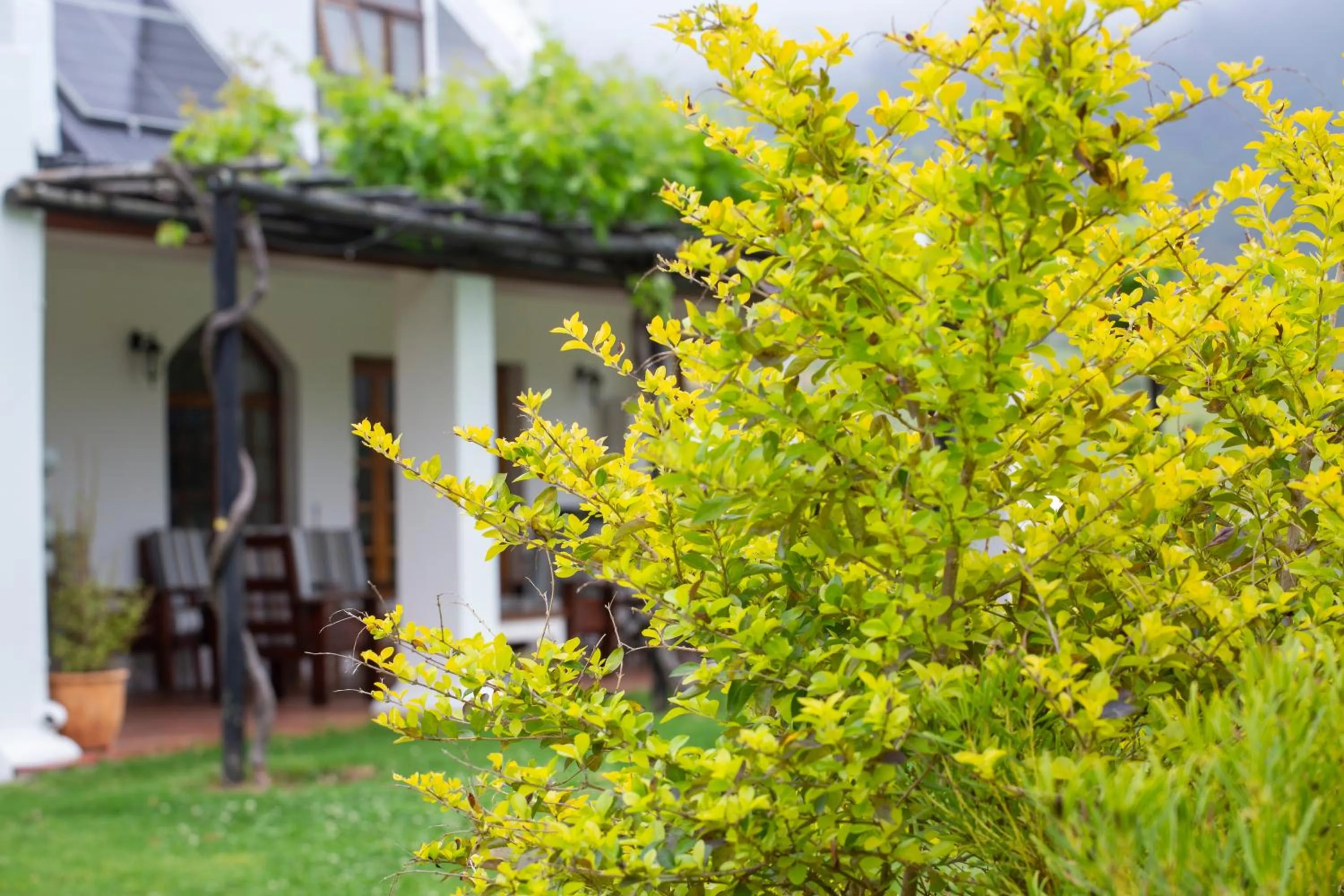Garden in Raptor Rise Farm