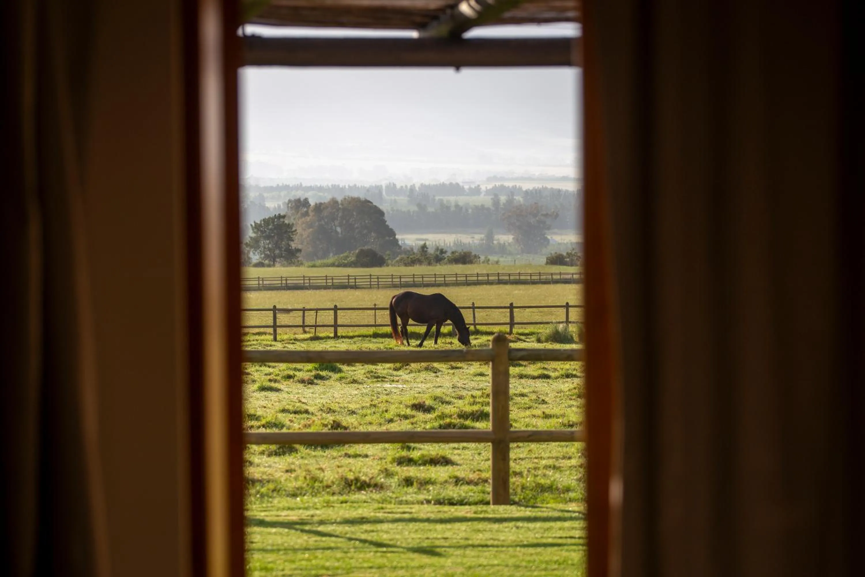 Animals in Raptor Rise Farm